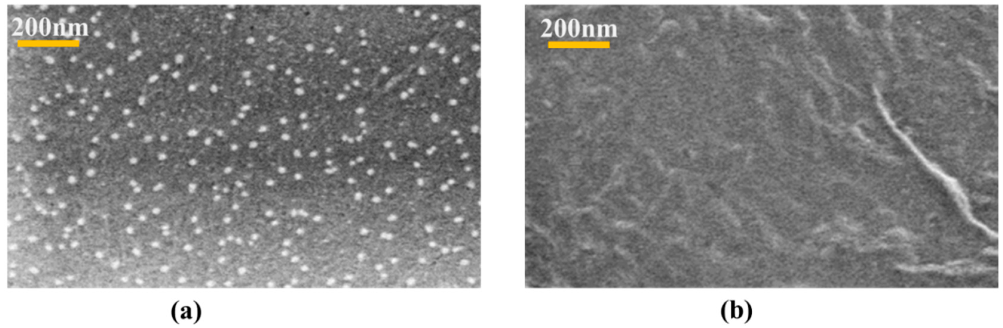 Fibers 07 00057 g002