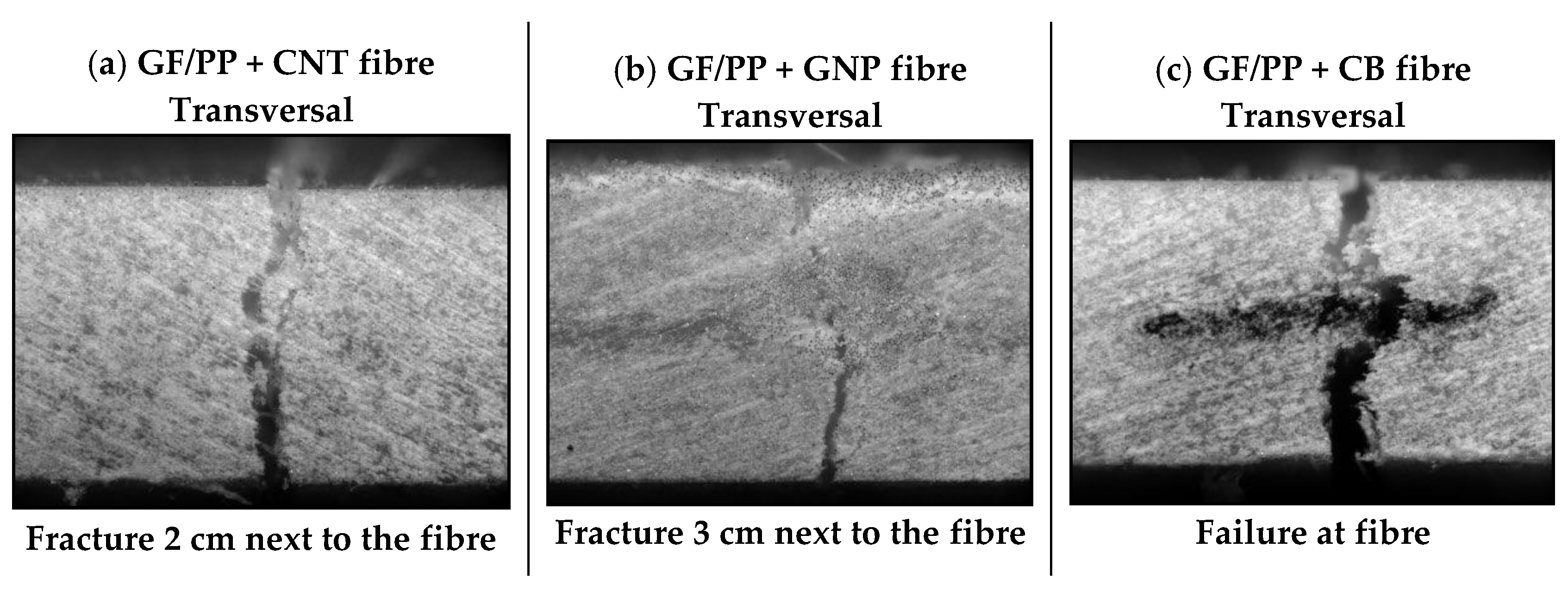 Fibers 07 00061 g010