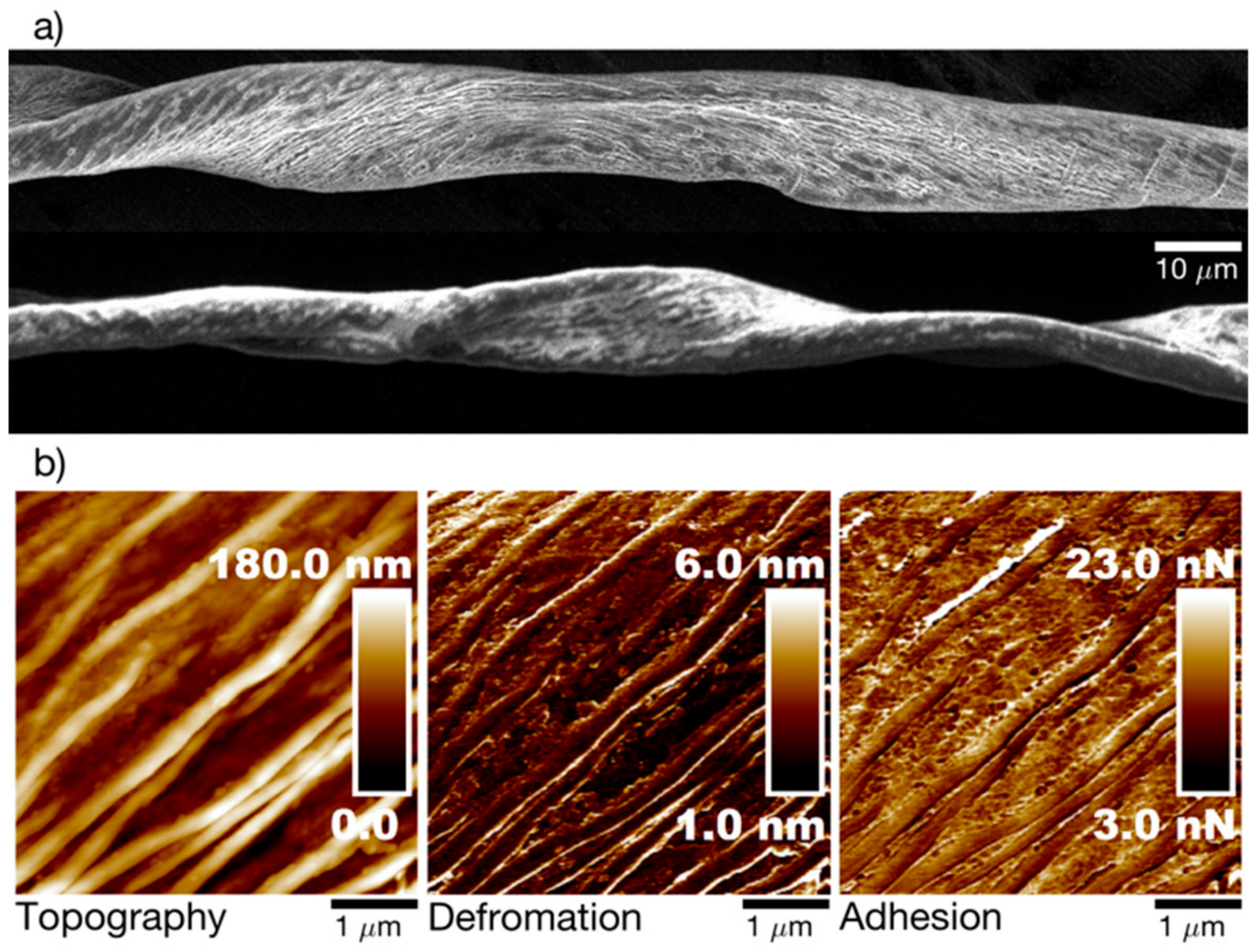Fibers 07 00064 g003 Fibers 07 00064 g003