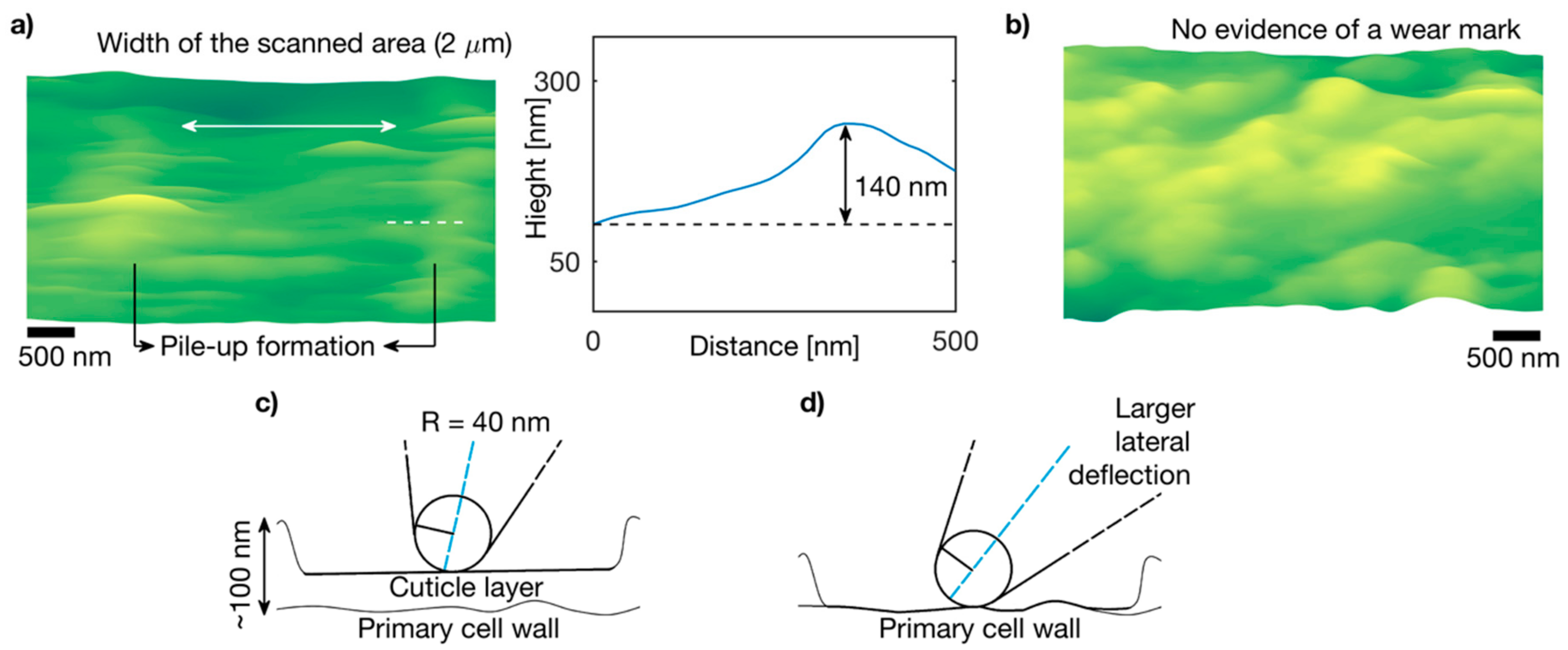 Fibers 07 00064 g010 Fibers 07 00064 g010
