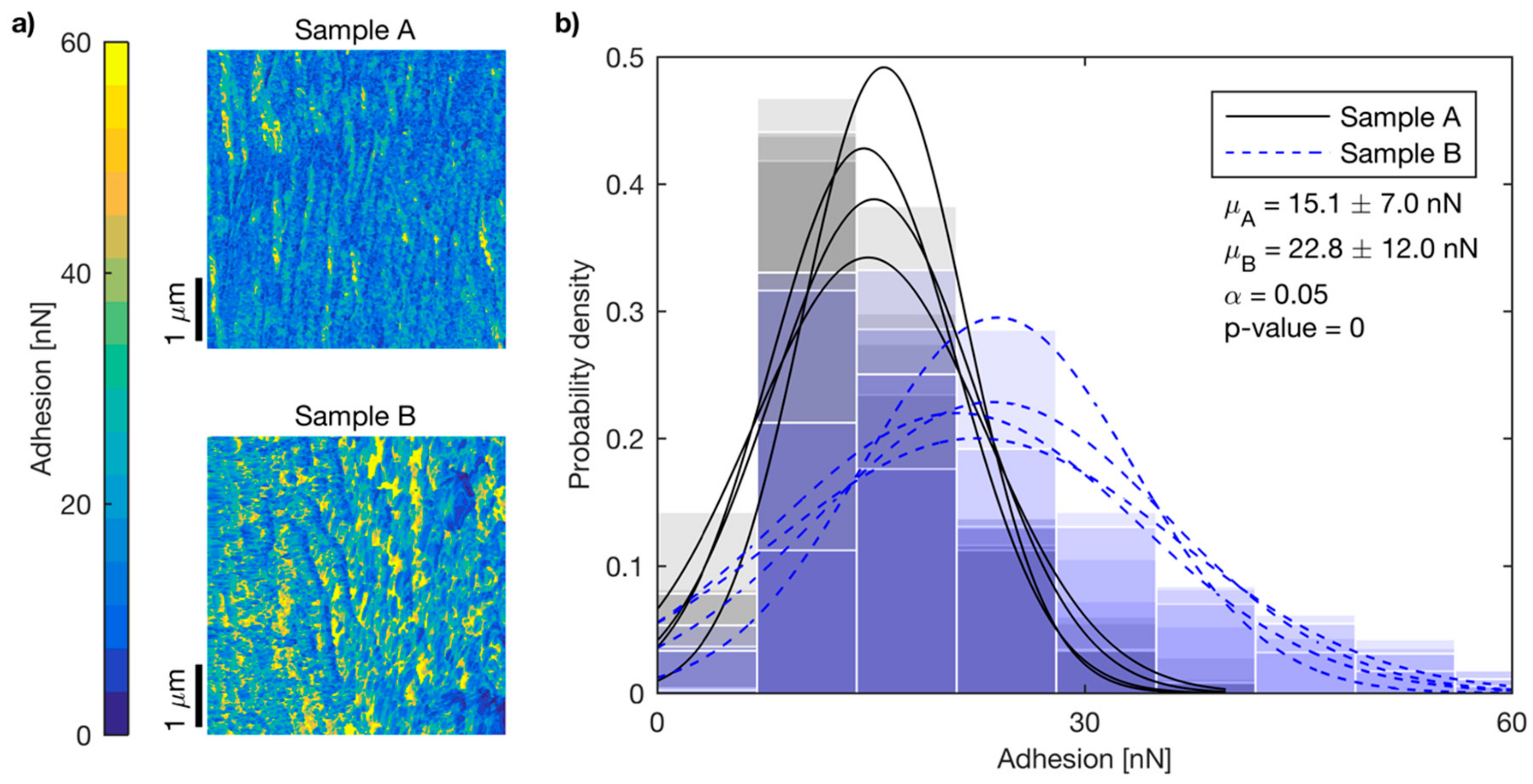 Fibers 07 00064 g011 Fibers 07 00064 g011