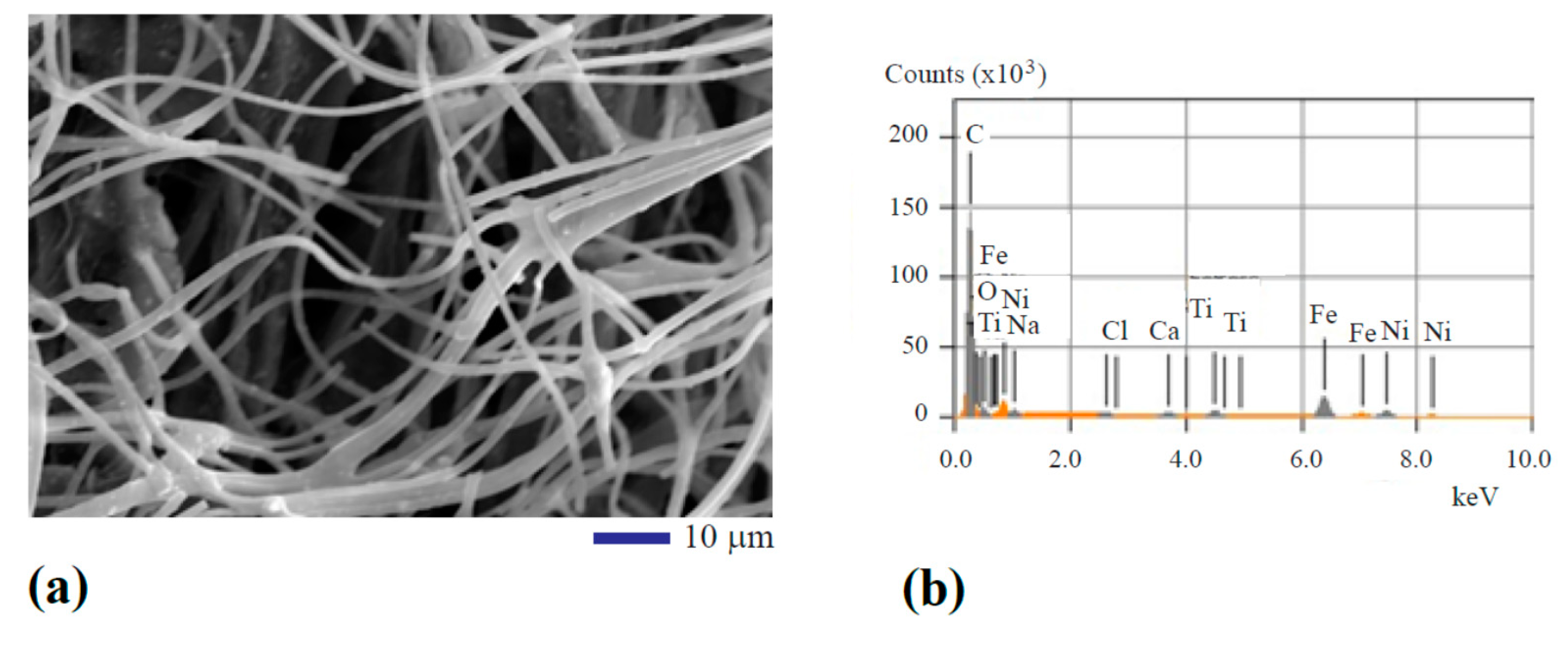 Fibers 07 00074 g001