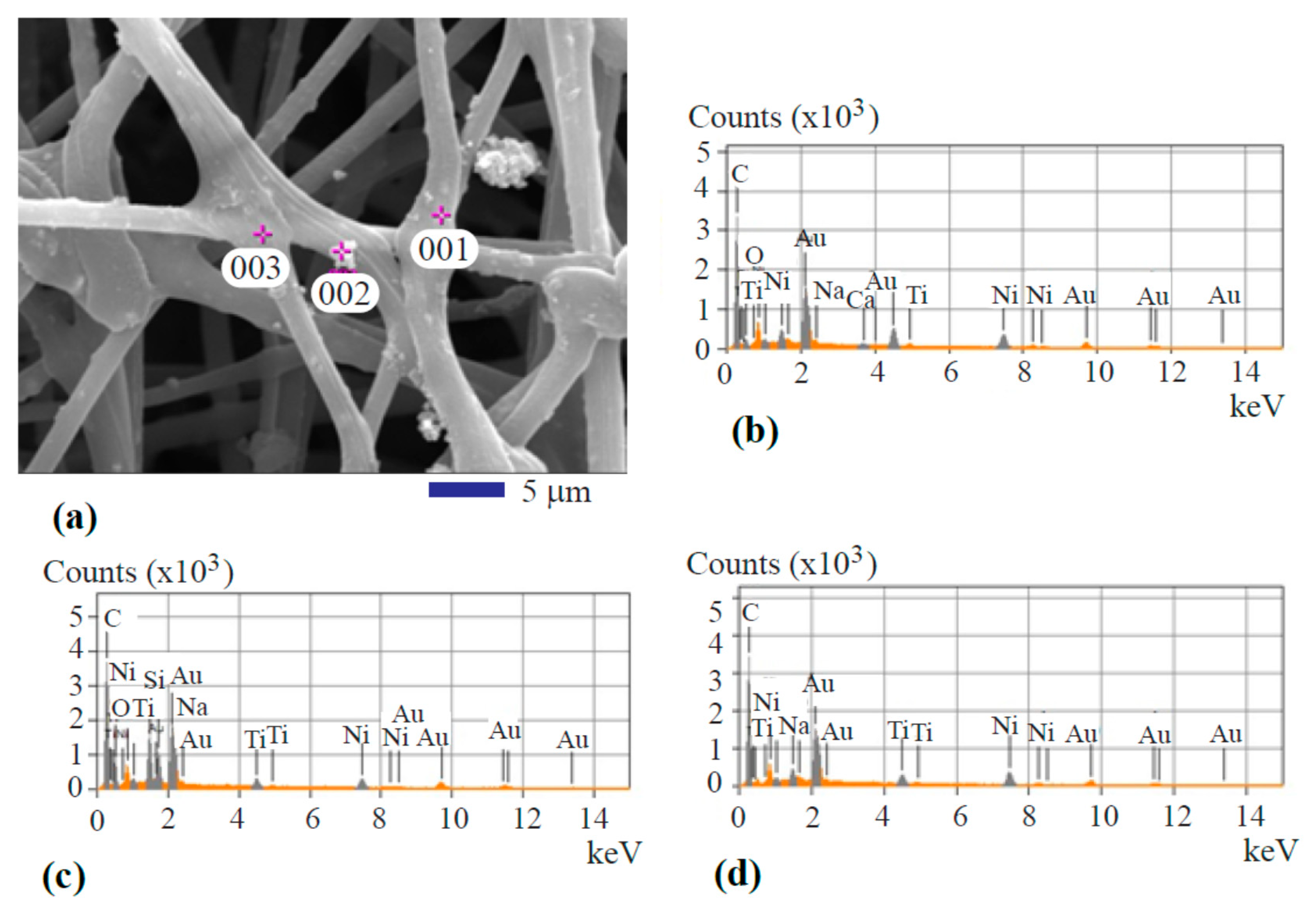 Fibers 07 00074 g003