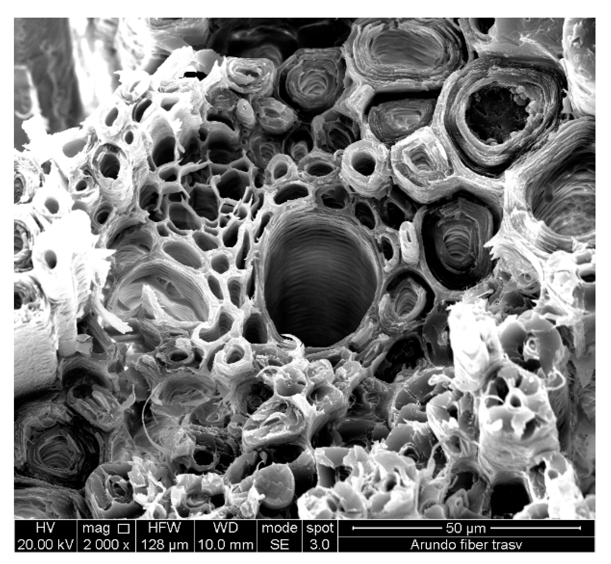 Fibers 07 00075 g001