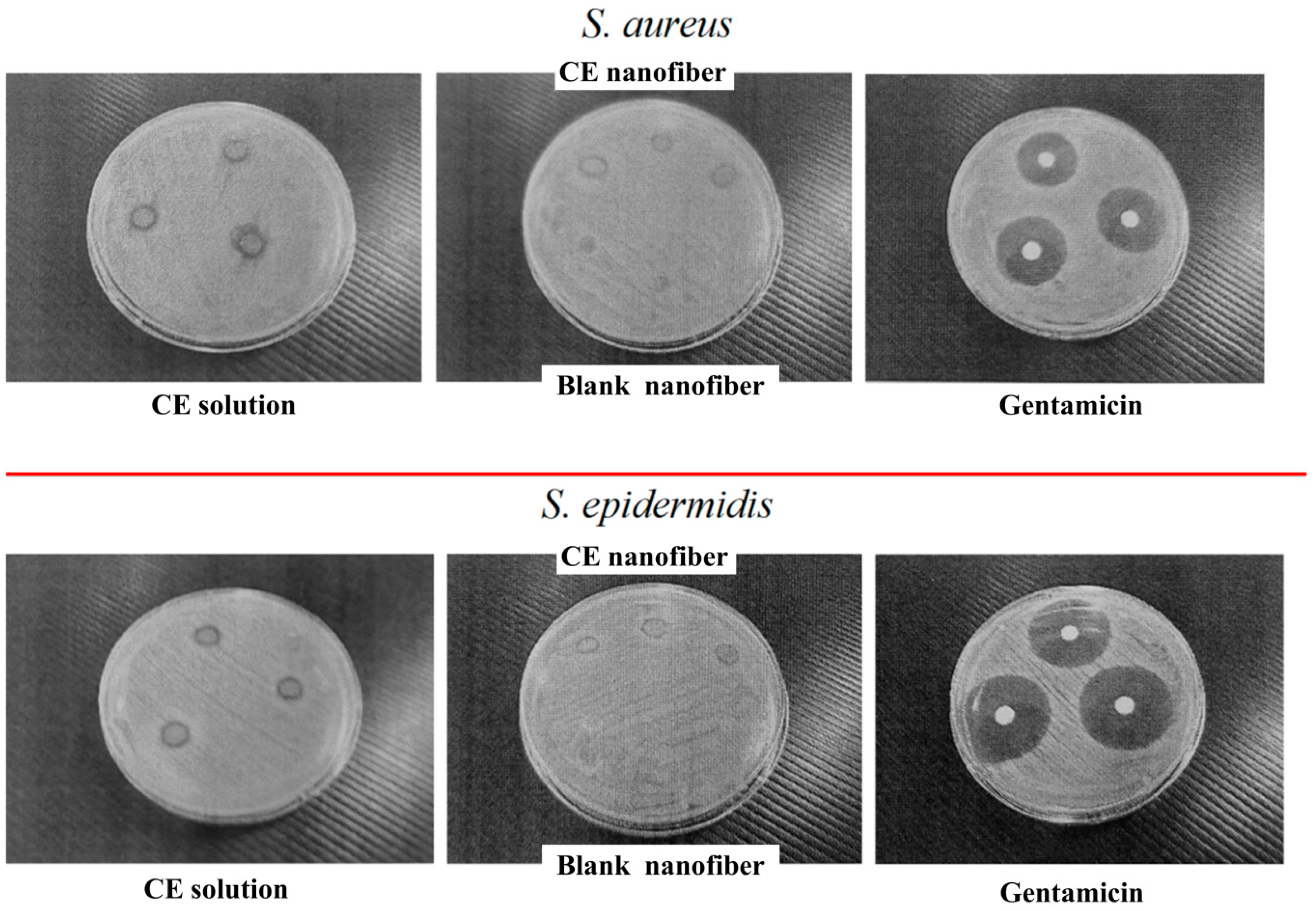 Fibers 07 00076 g006