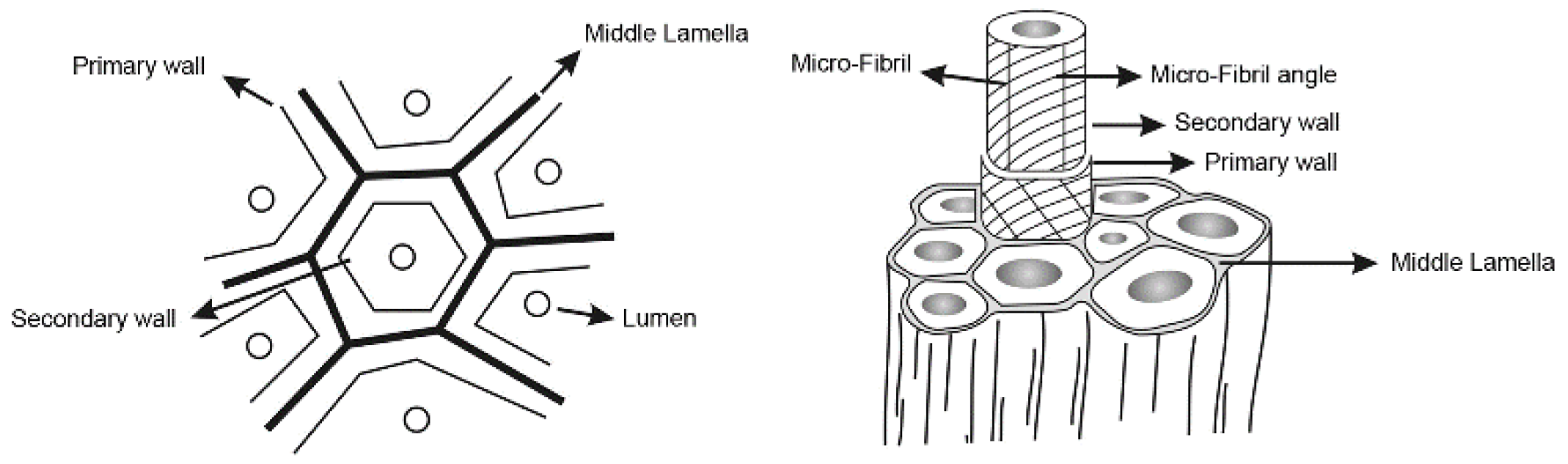 Fibers 07 00077 g002 Fibers 07 00077 g002