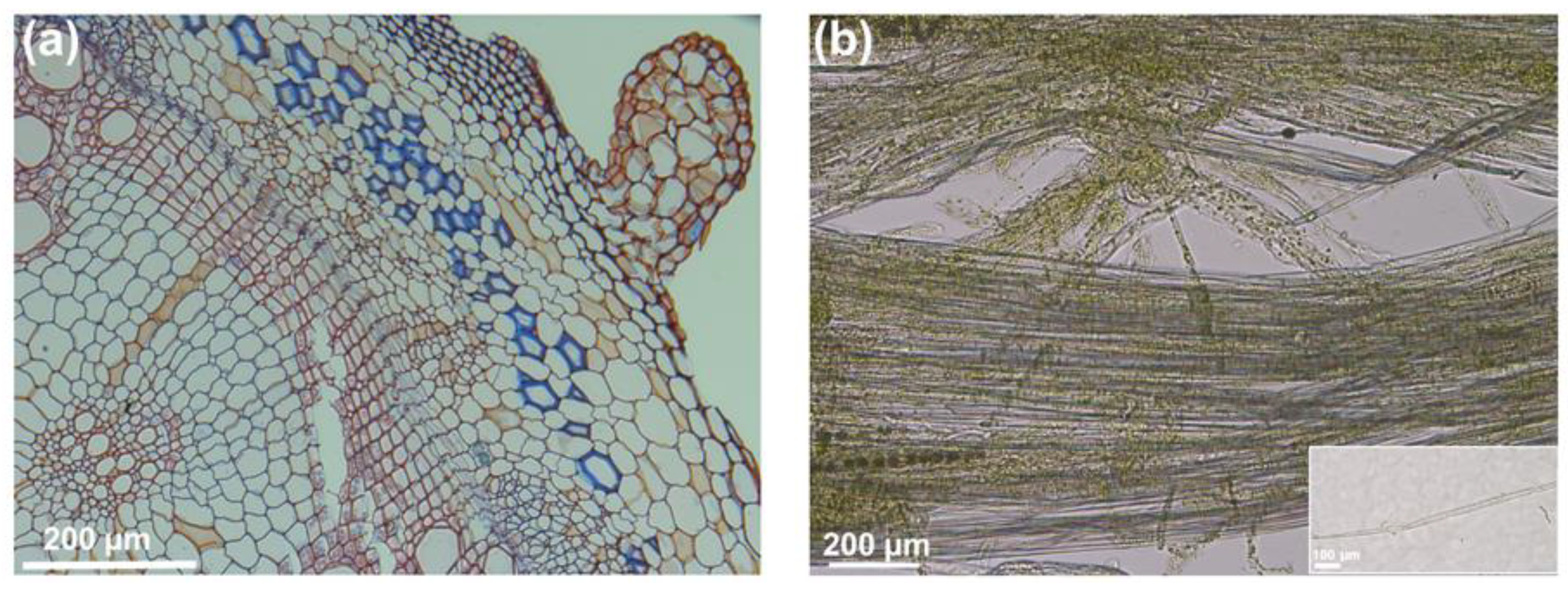 Fibers 07 00080 g001