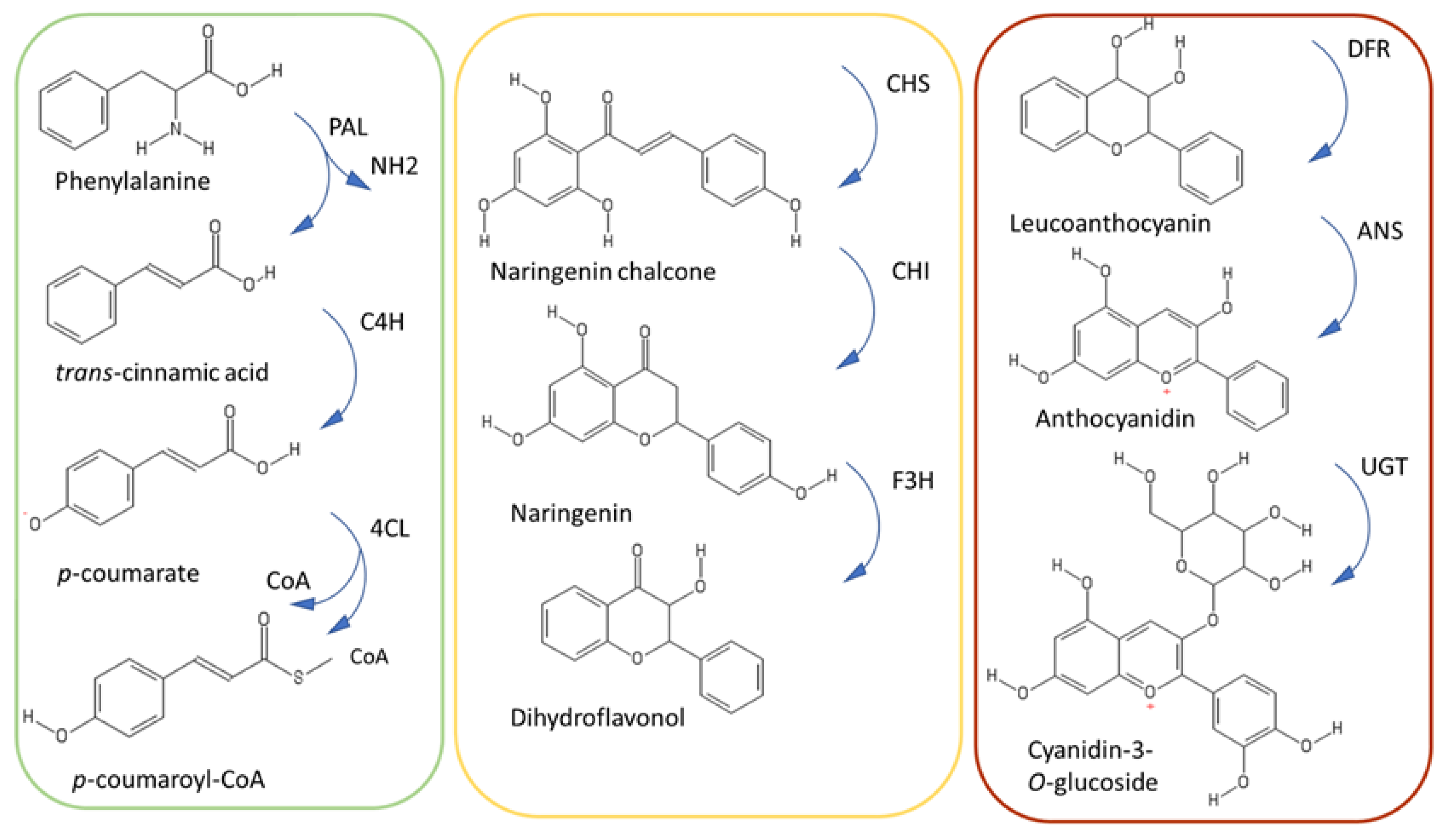 Fibers 07 00080 g003