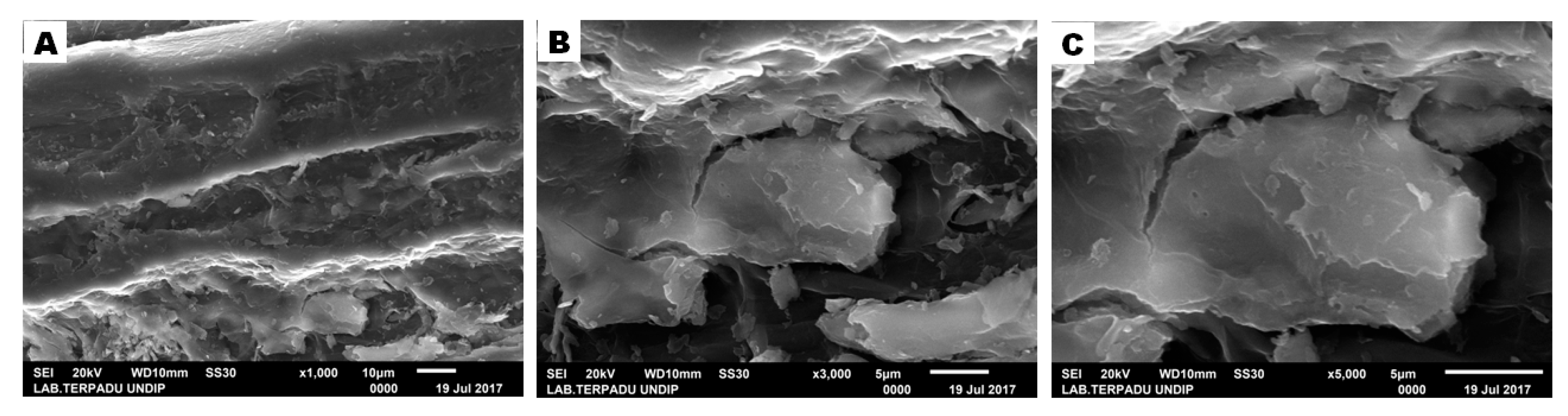 Fibers 07 00085 g009 Fibers 07 00085 g009