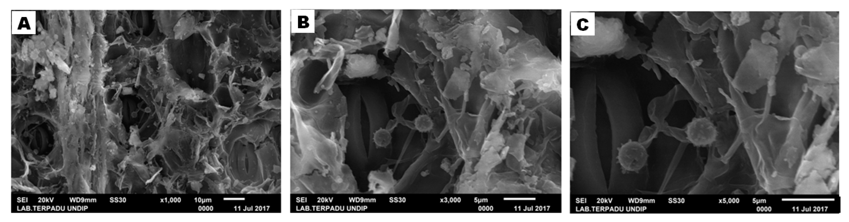 Fibers 07 00085 g010 Fibers 07 00085 g010