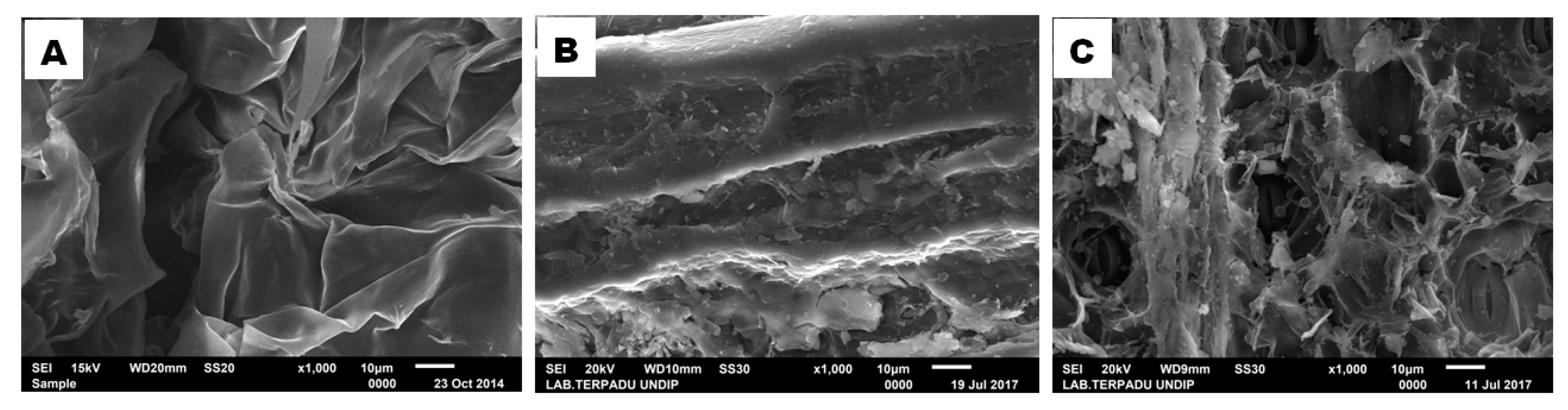 Fibers 07 00085 g011 Fibers 07 00085 g011