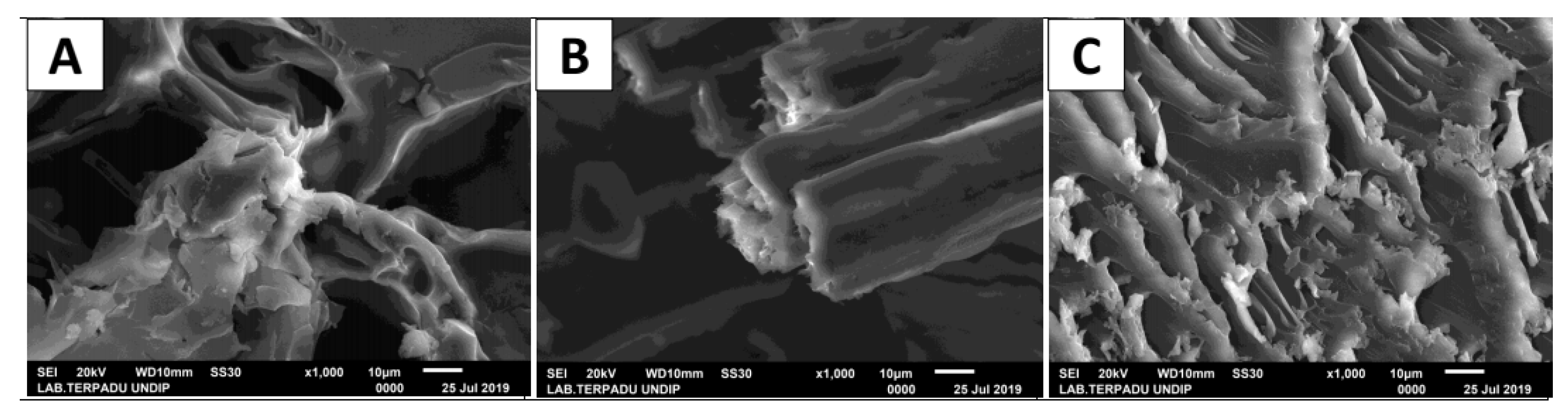 Fibers 07 00085 g012 Fibers 07 00085 g012