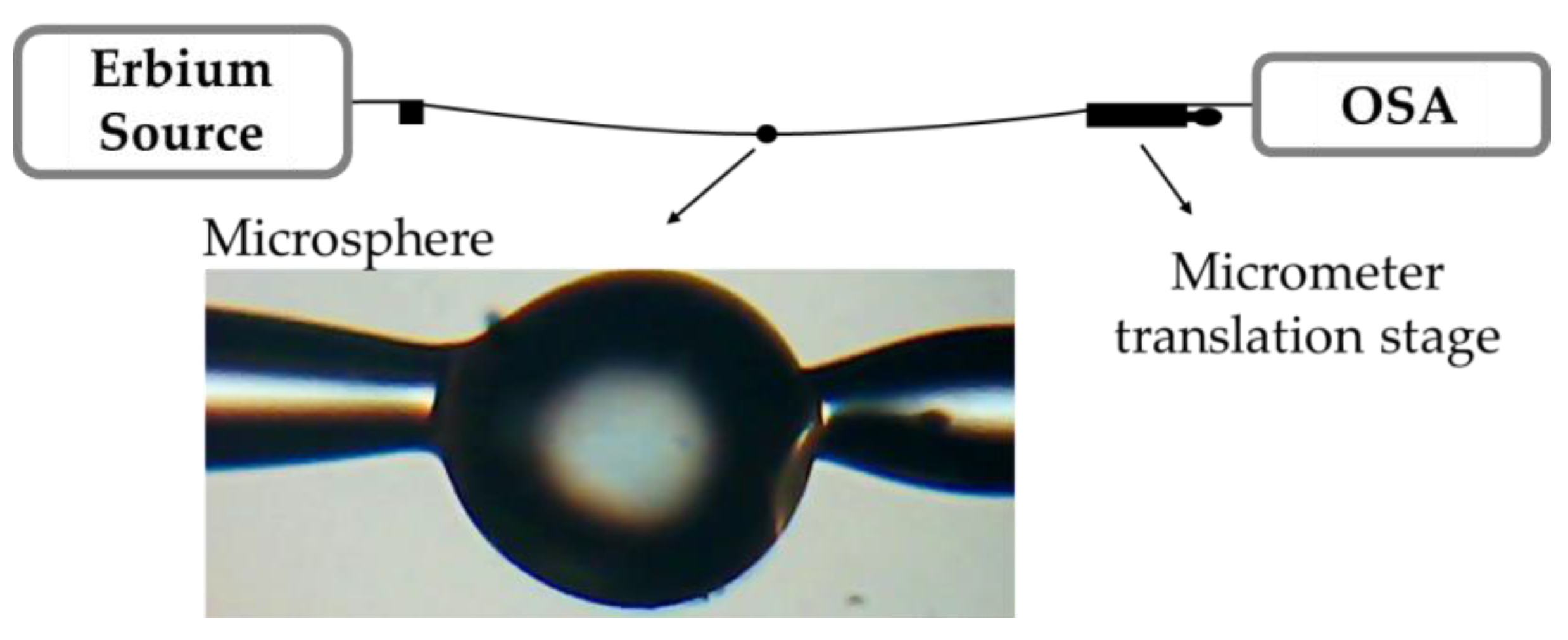 Fibers 07 00087 g002
