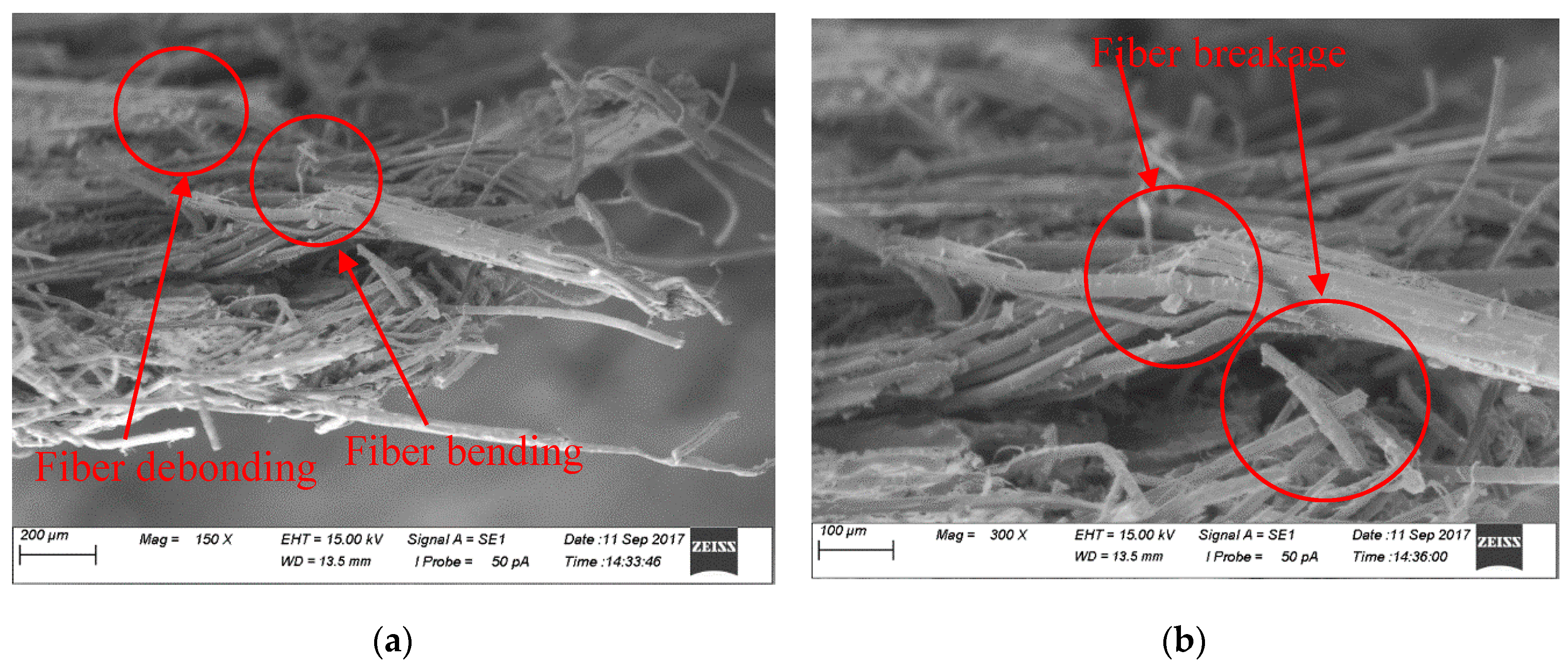 Fibers 07 00095 g003