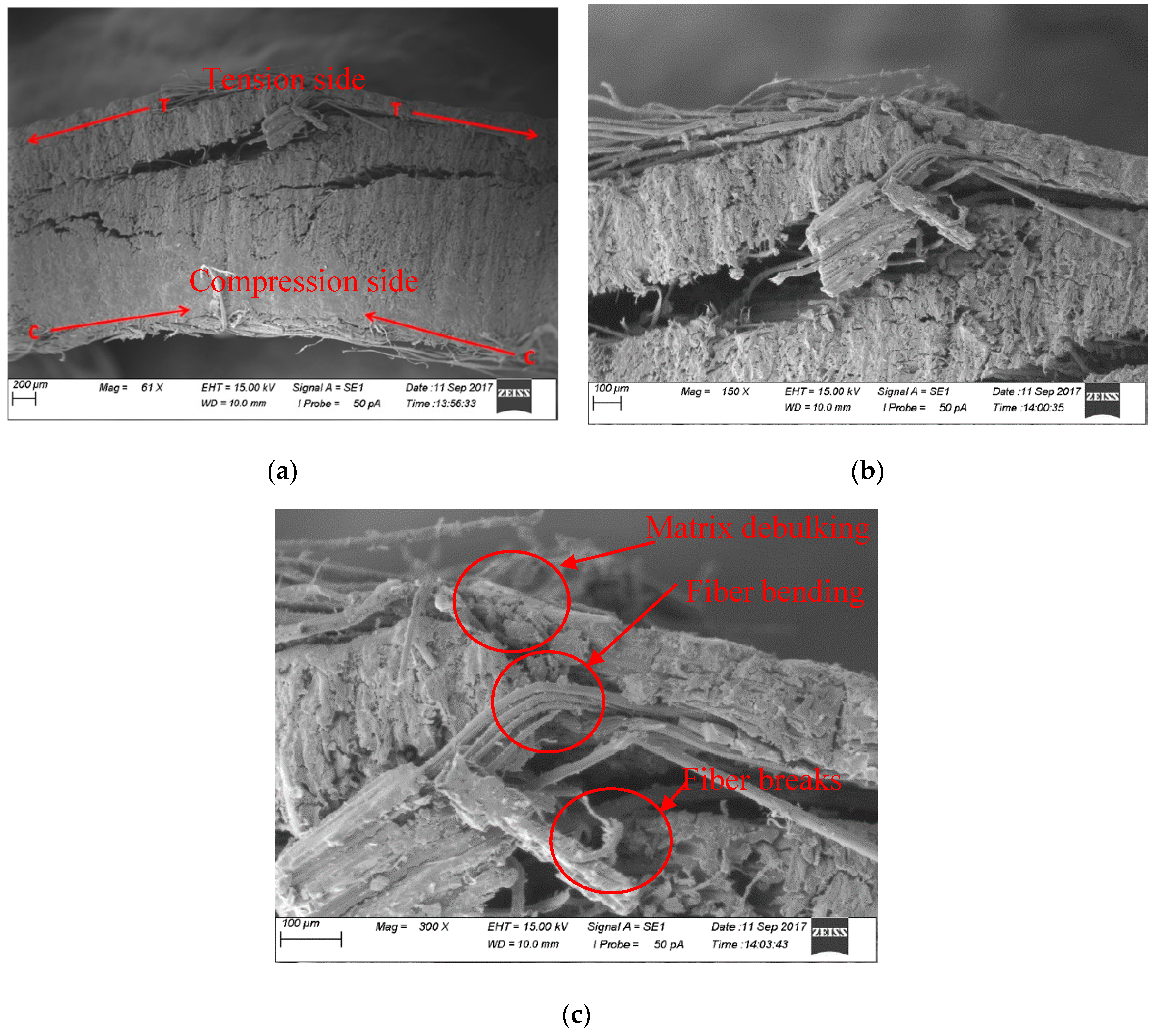 Fibers 07 00095 g004
