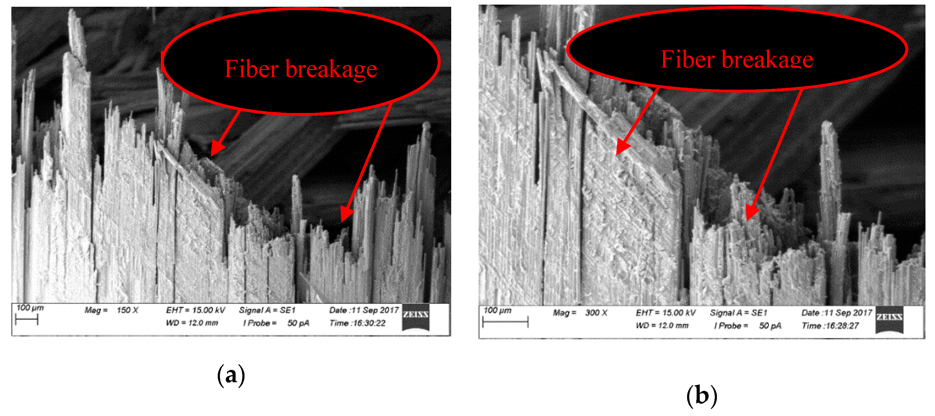 Fibers 07 00095 g005