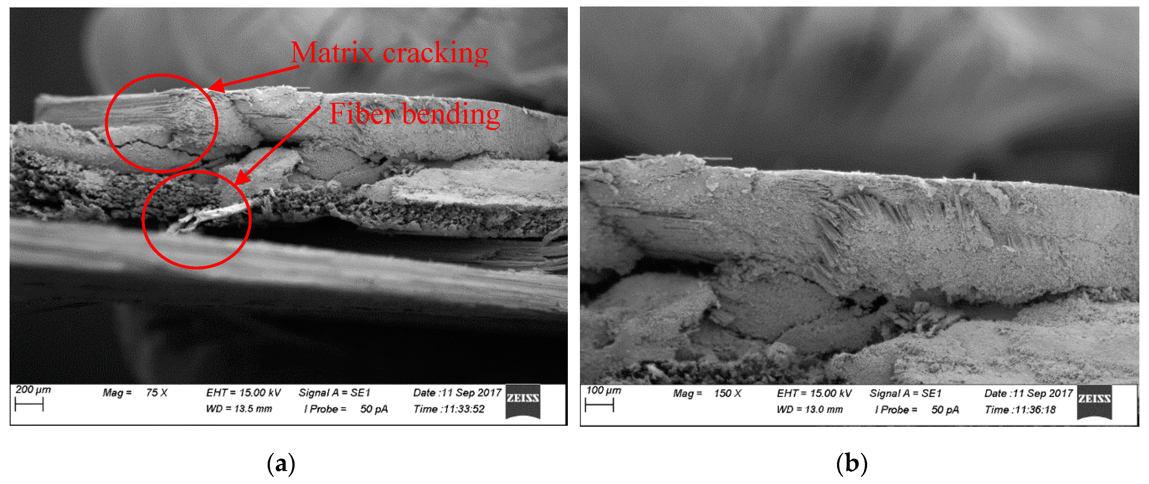 Fibers 07 00095 g006