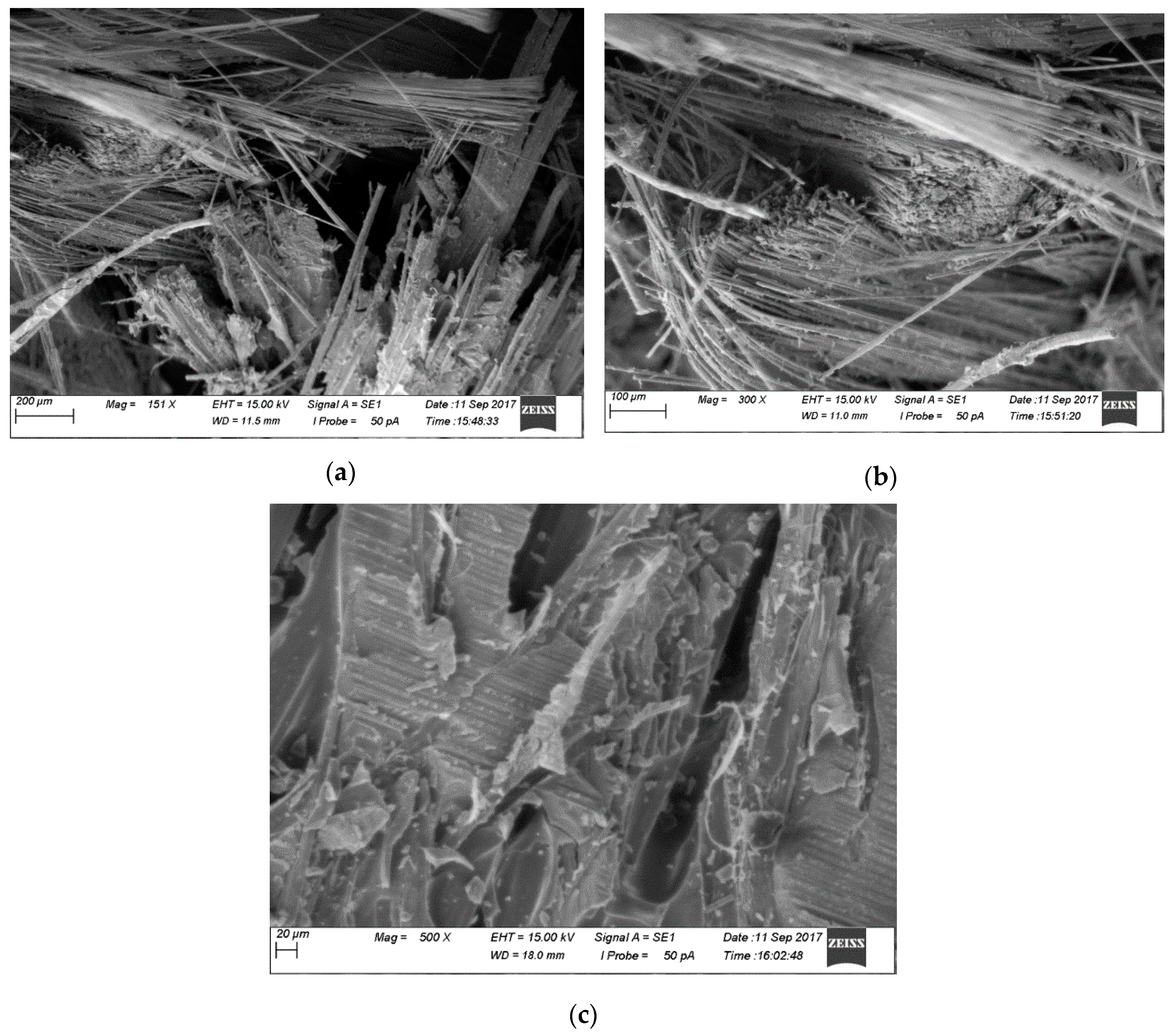 Fibers 07 00095 g007