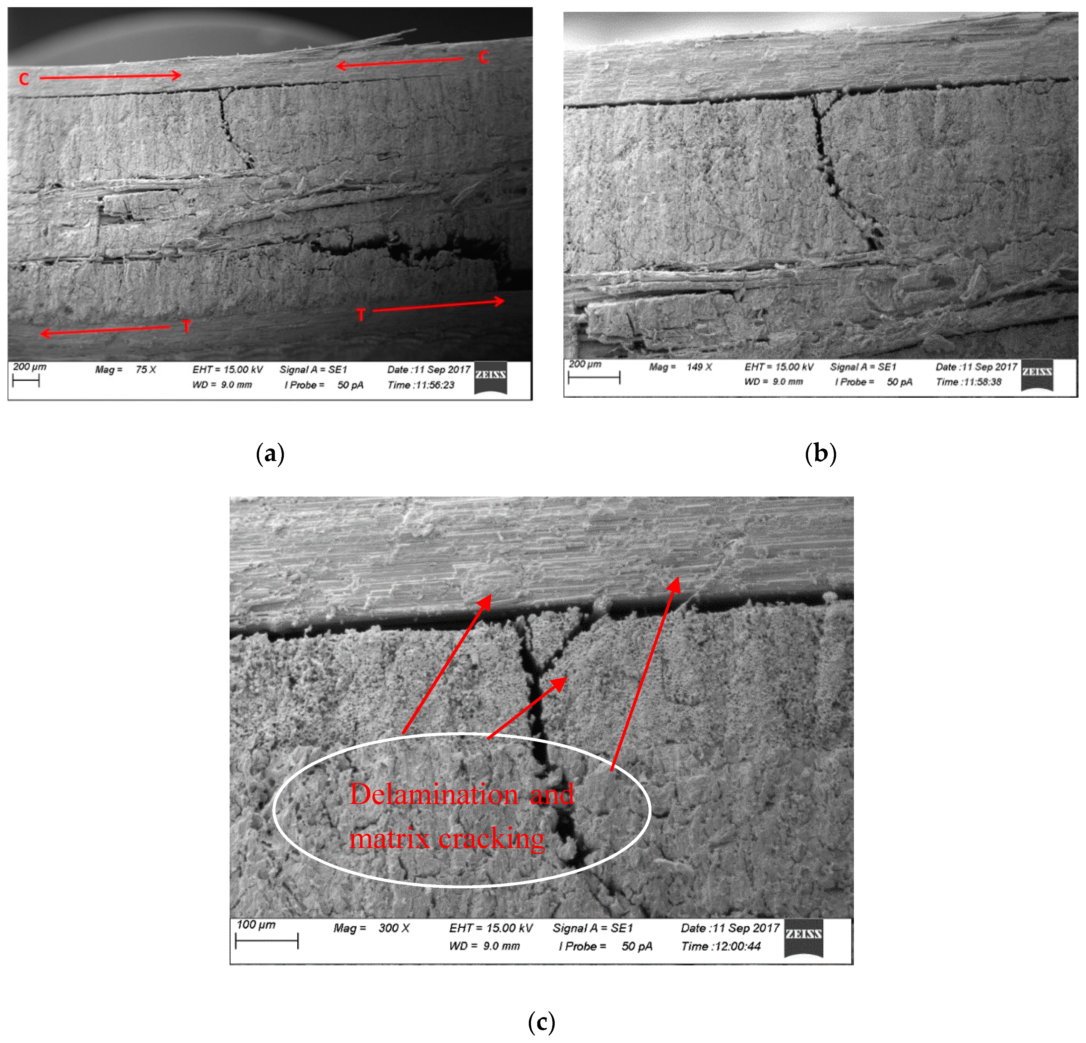Fibers 07 00095 g008