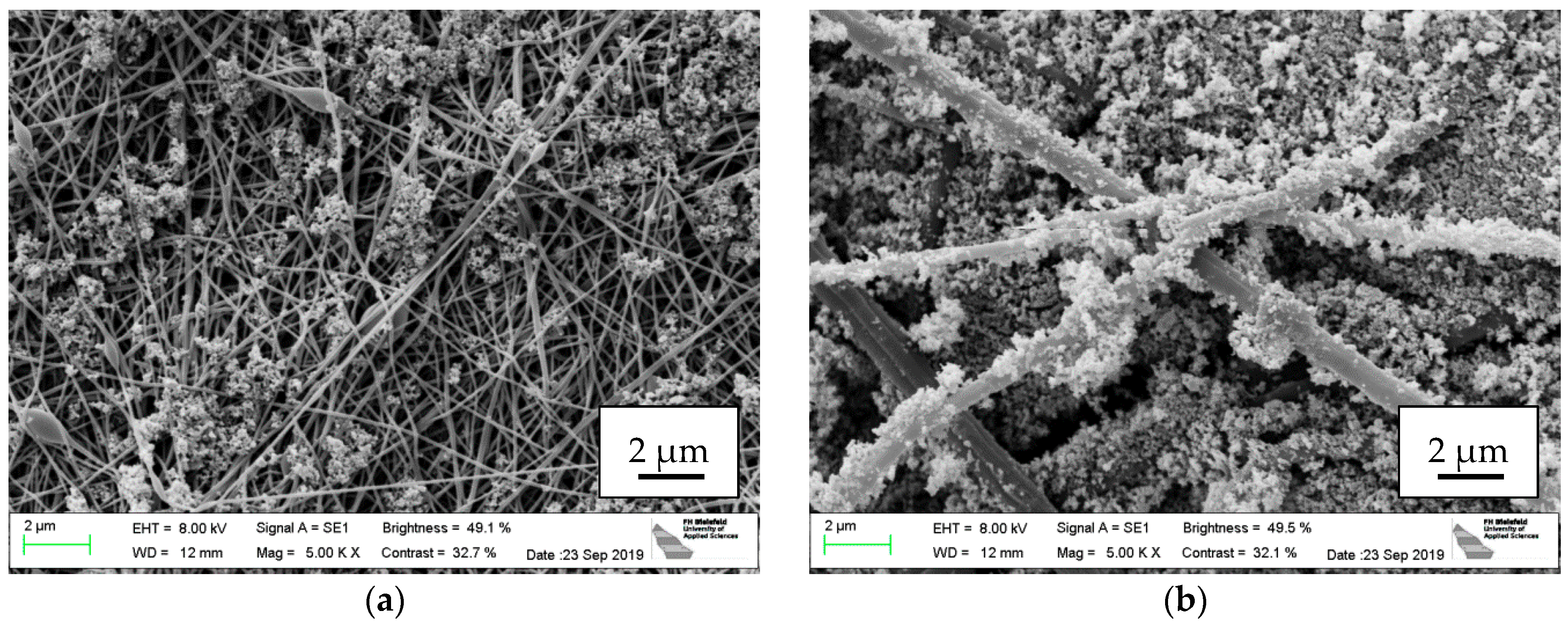 Fibers 07 00098 g003