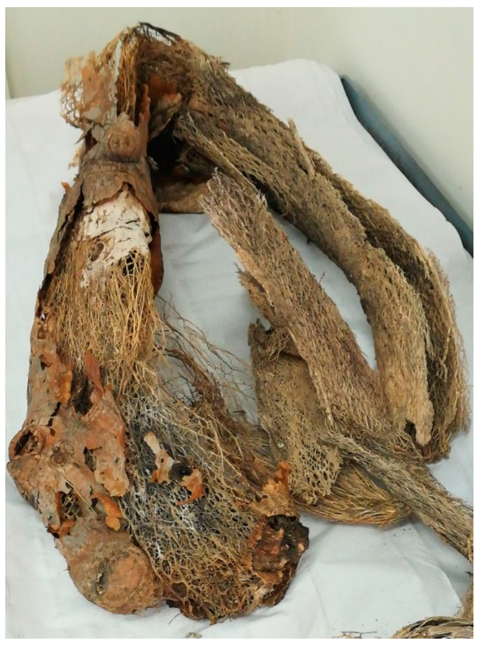 Fibers 07 00099 g001 Fibers 07 00099 g001