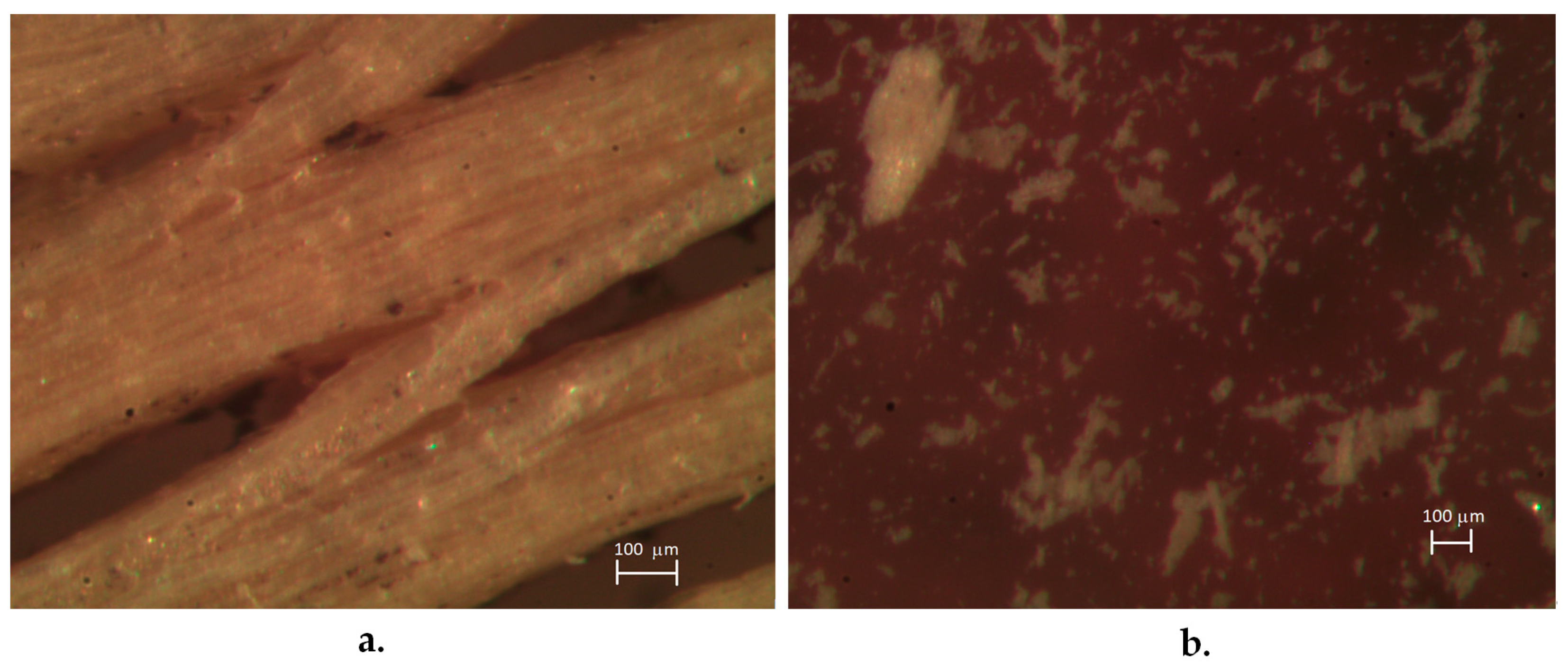 Fibers 07 00099 g003 Fibers 07 00099 g003