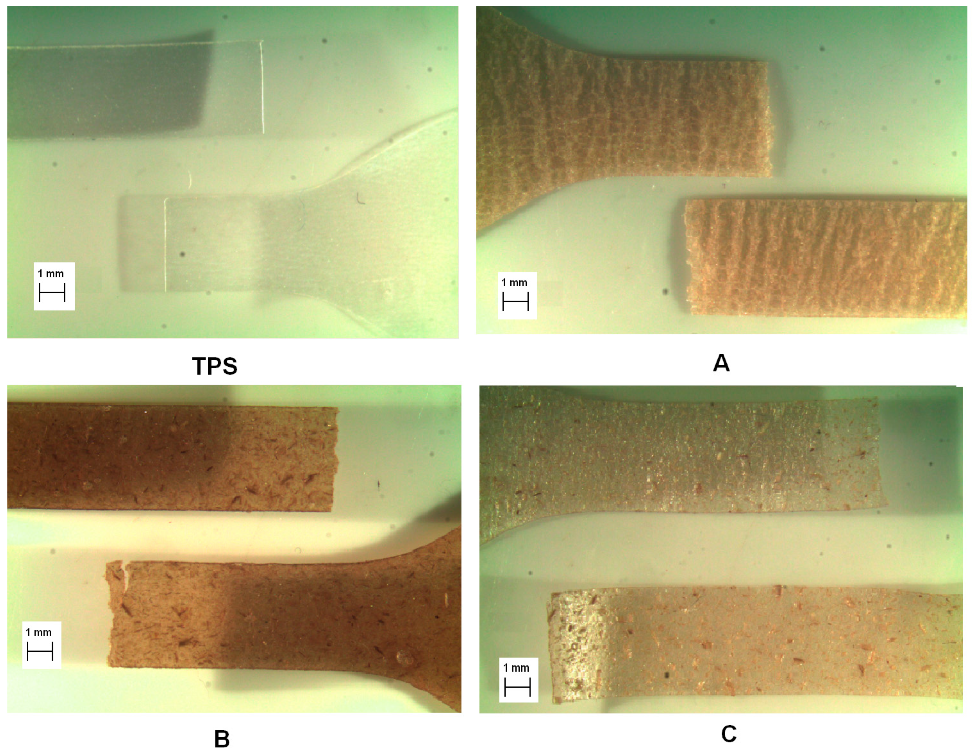 Fibers 07 00099 g007 Fibers 07 00099 g007