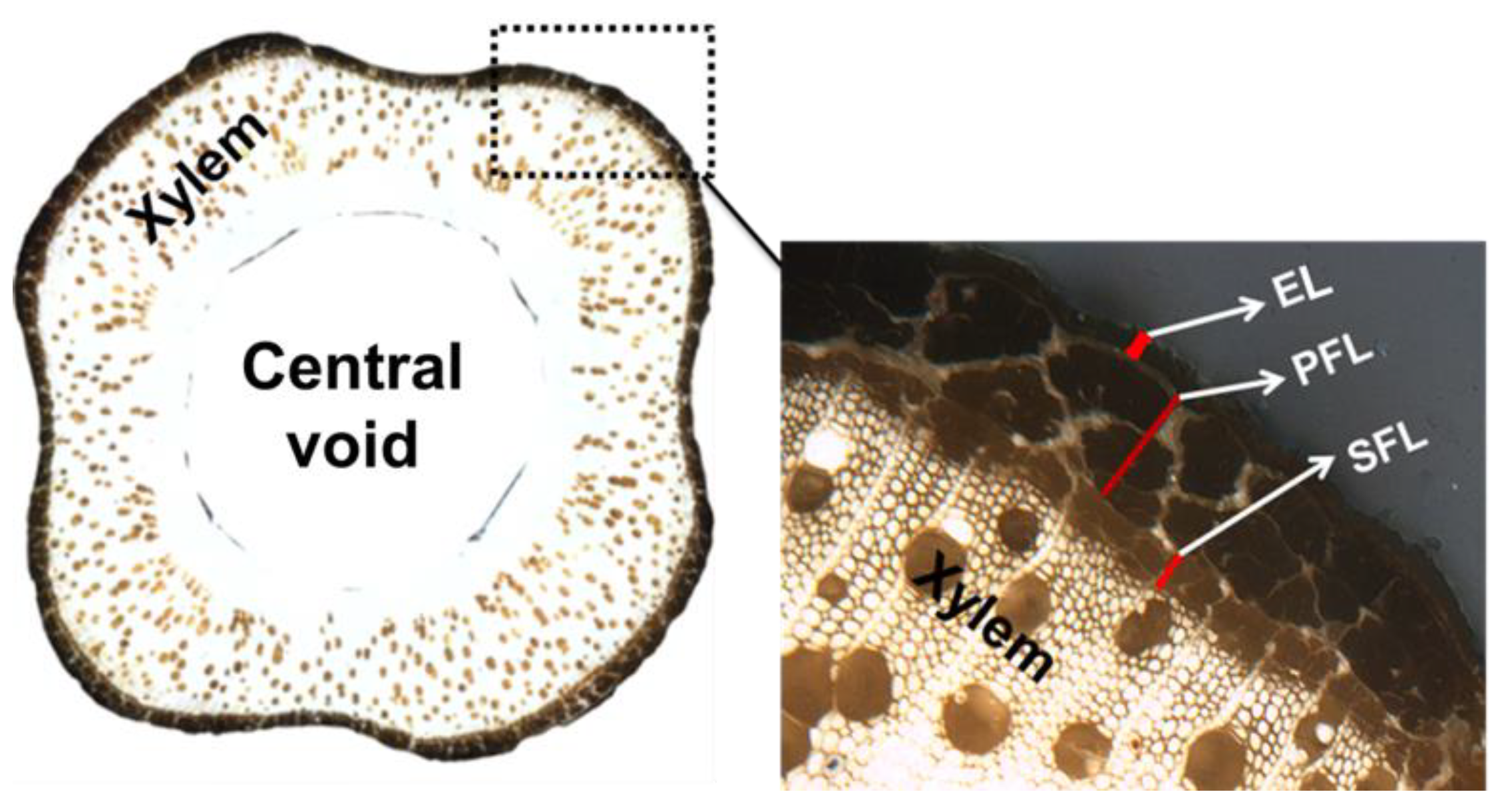 Fibers 07 00108 g003