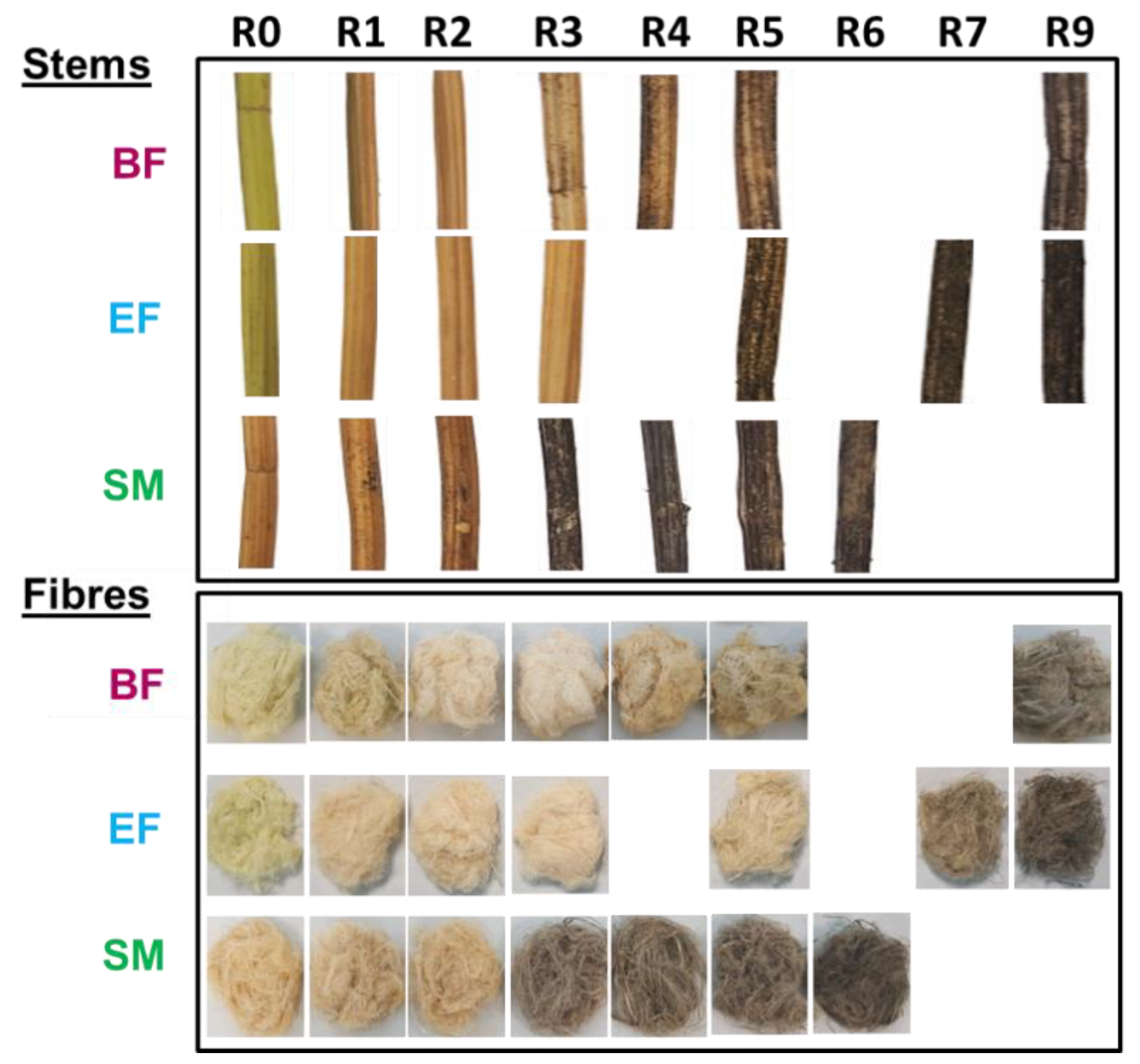 Fibers 07 00108 g004