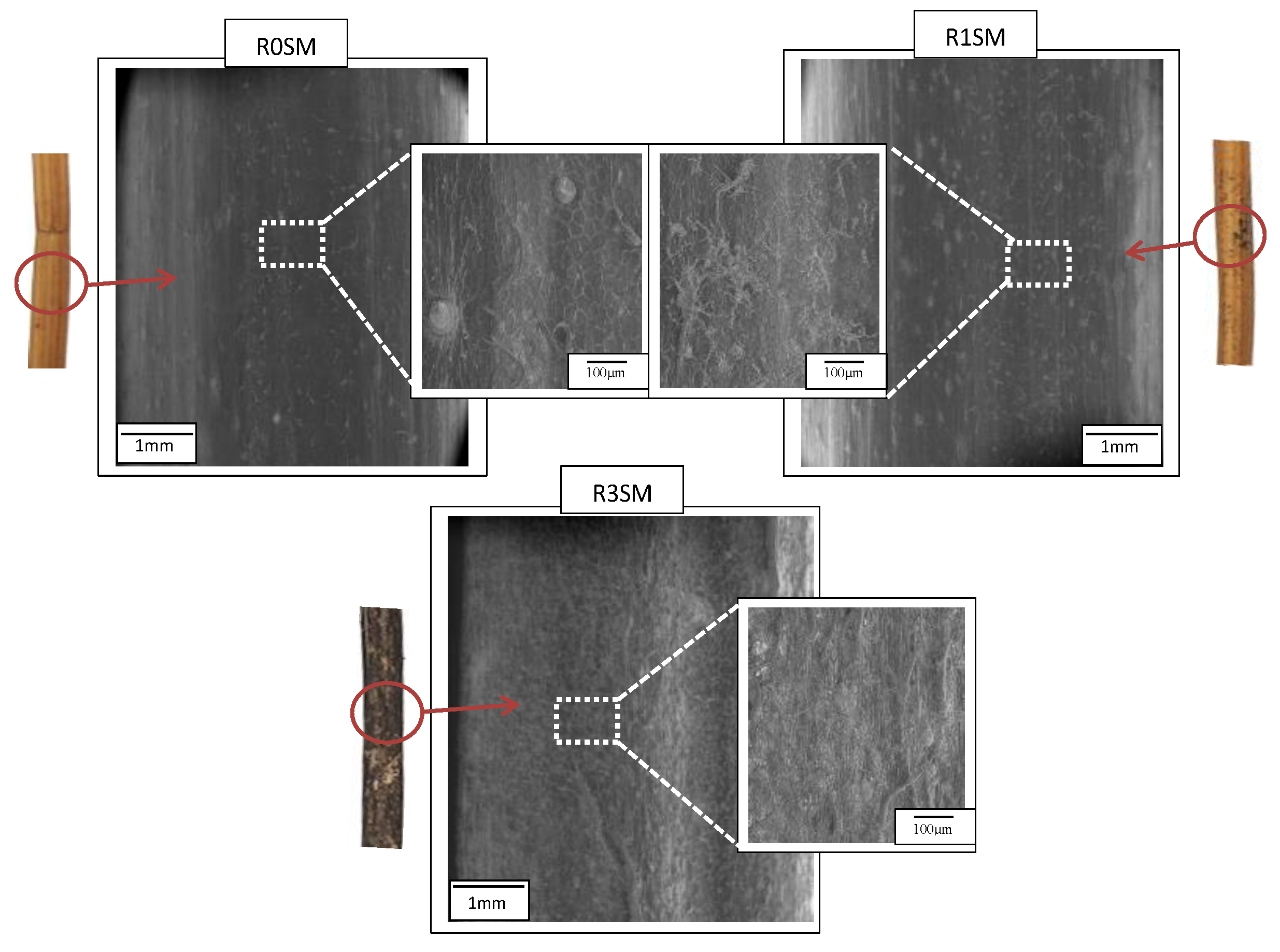Fibers 07 00108 g005