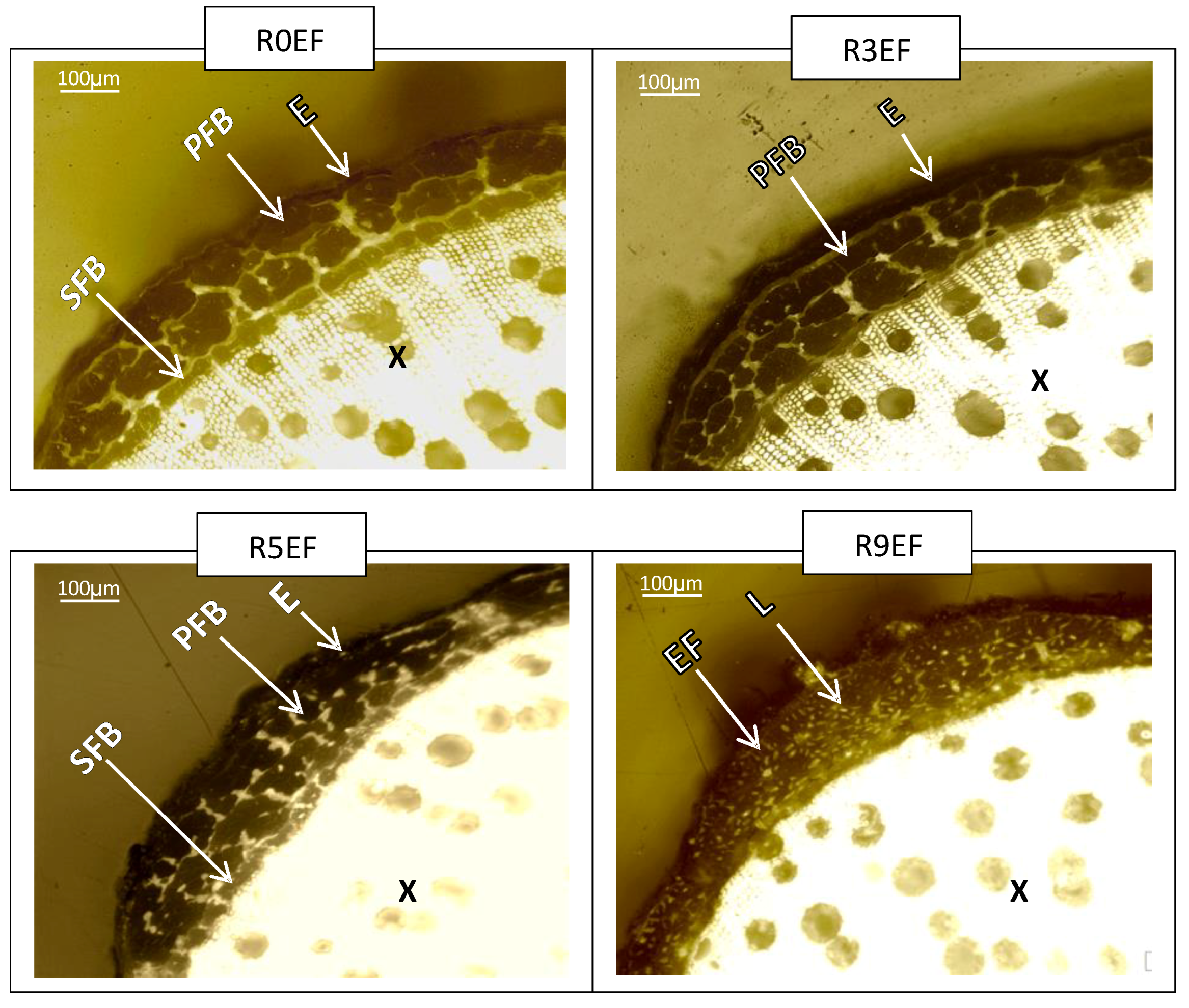 Fibers 07 00108 g010