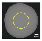 Fibers 08 00002 i001 Fibers 08 00002 i001