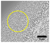 Fibers 08 00002 i004 Fibers 08 00002 i004