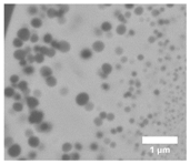 Fibers 08 00002 i007 Fibers 08 00002 i007