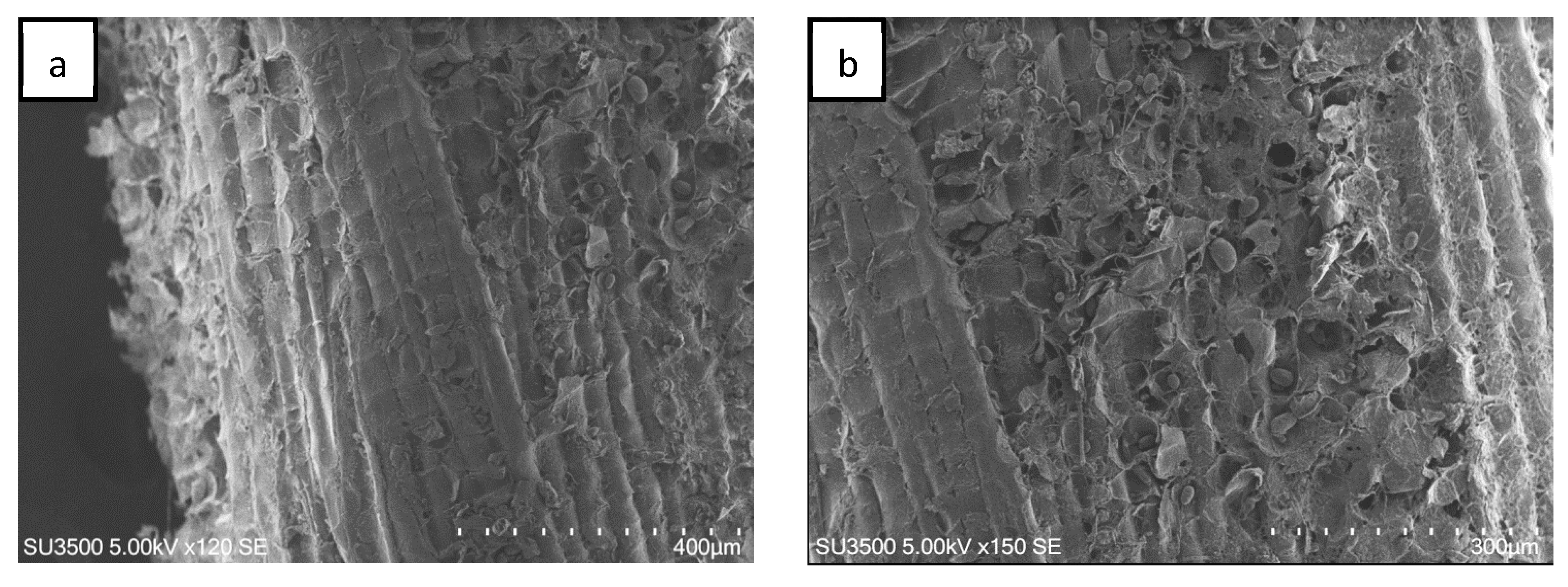 Fibers 08 00004 g002