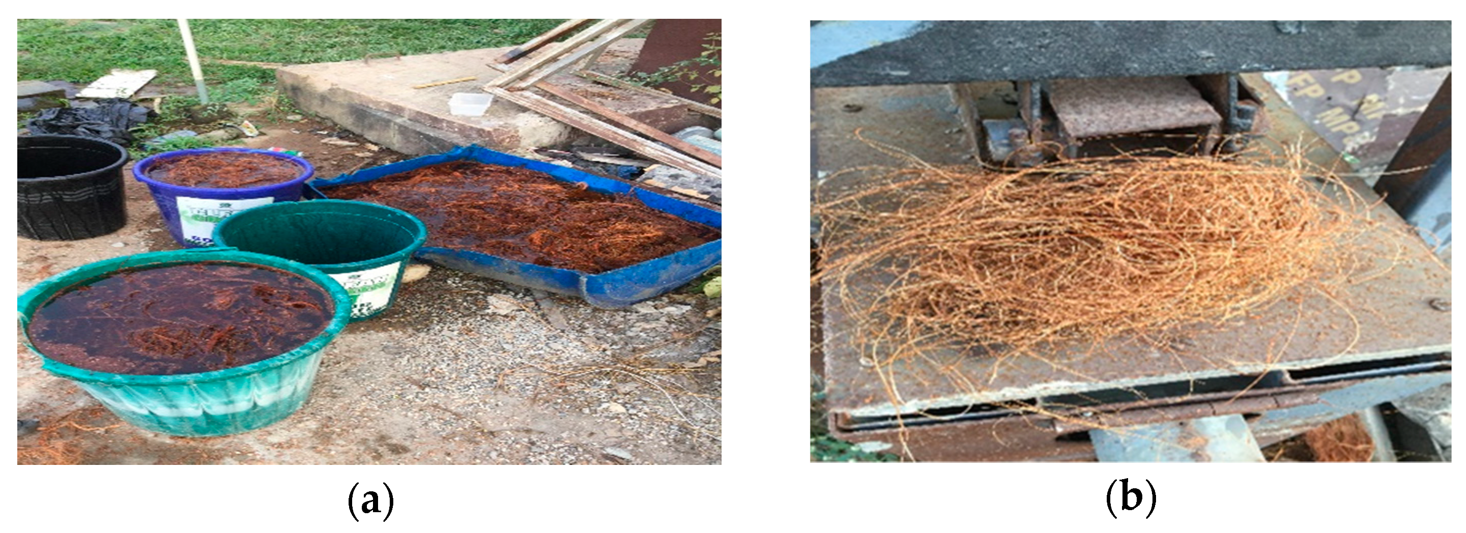 Fibers 08 00005 g001