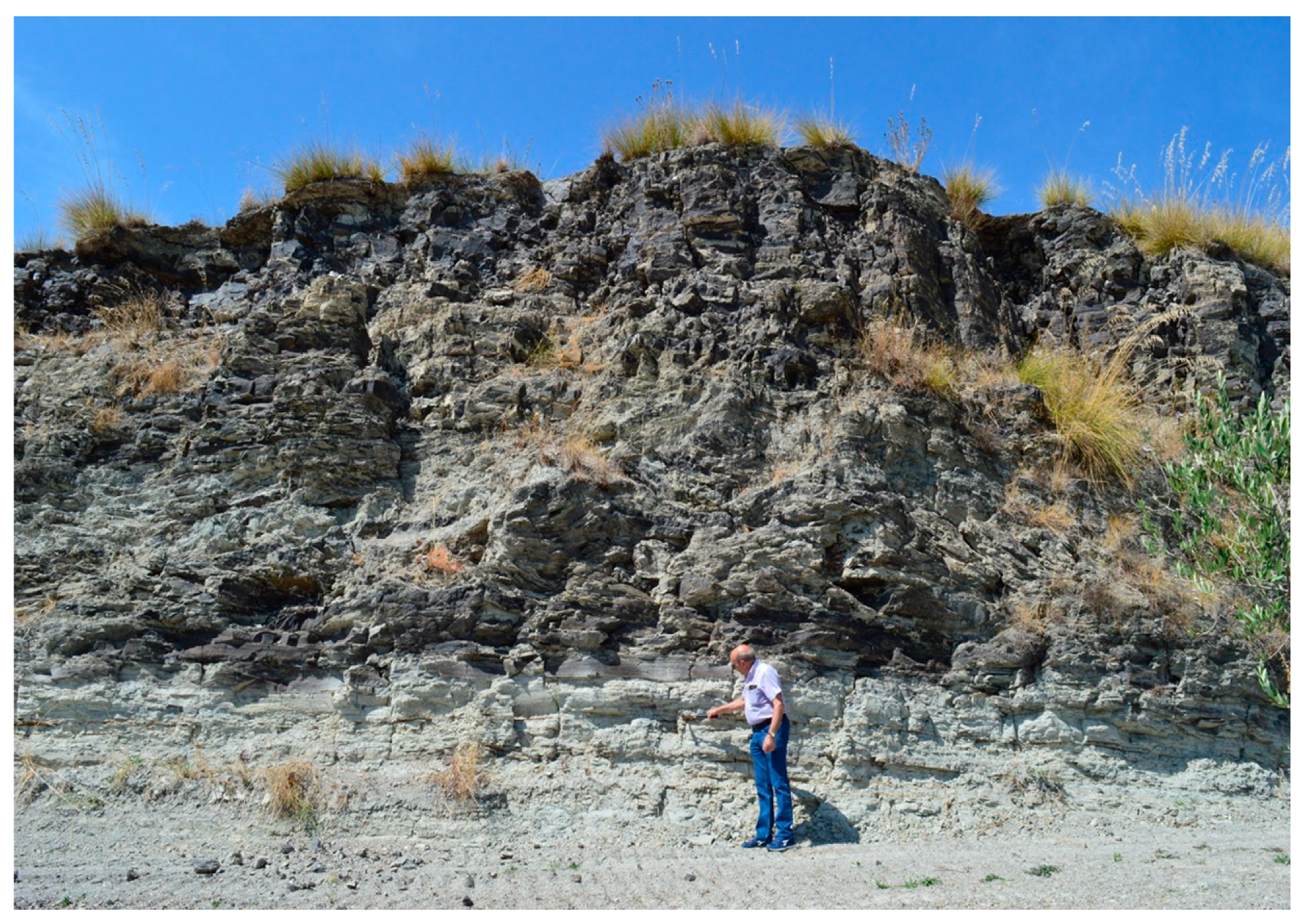 Fibers 08 00009 g002