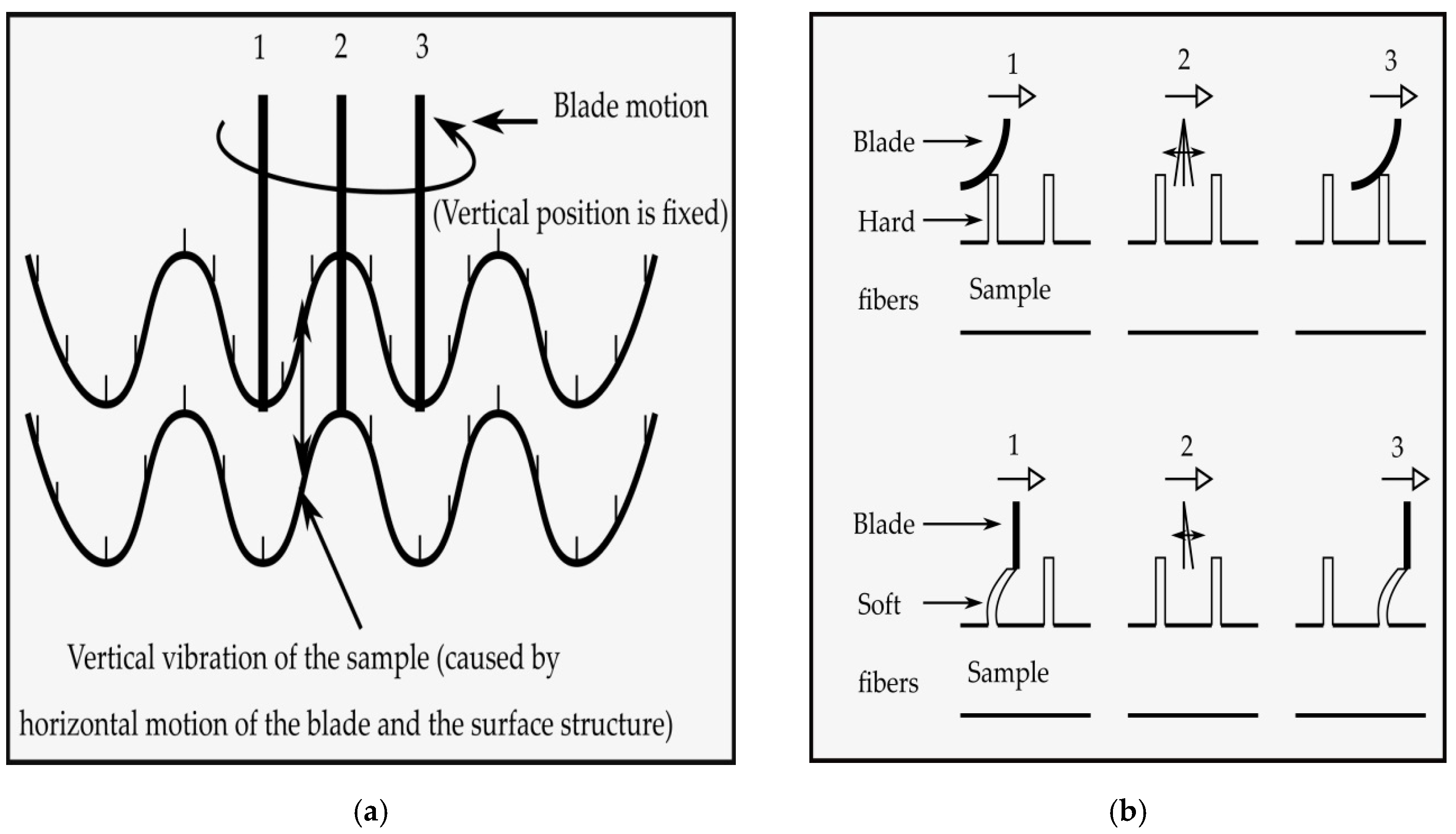 Fibers 08 00017 g003a