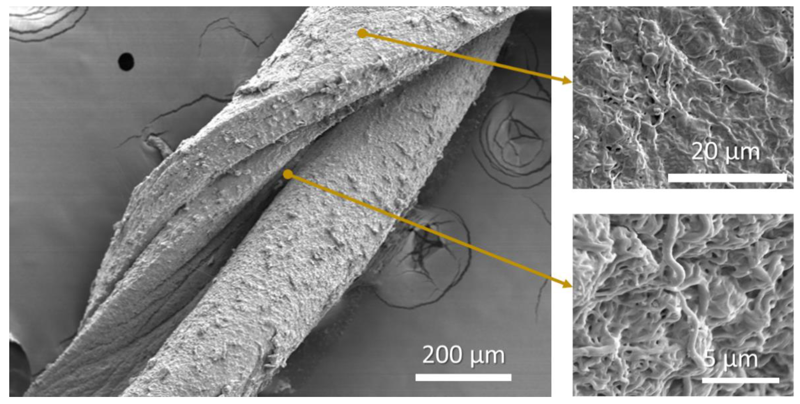 Fibers 08 00024 g004
