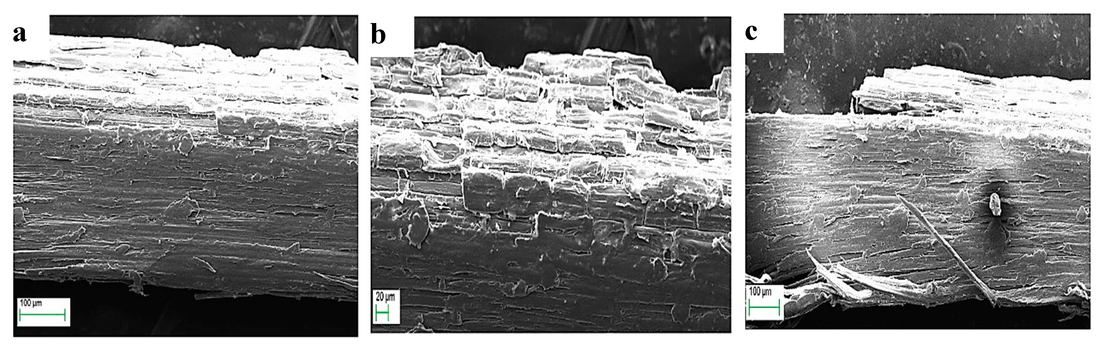 Fibers 08 00026 g003