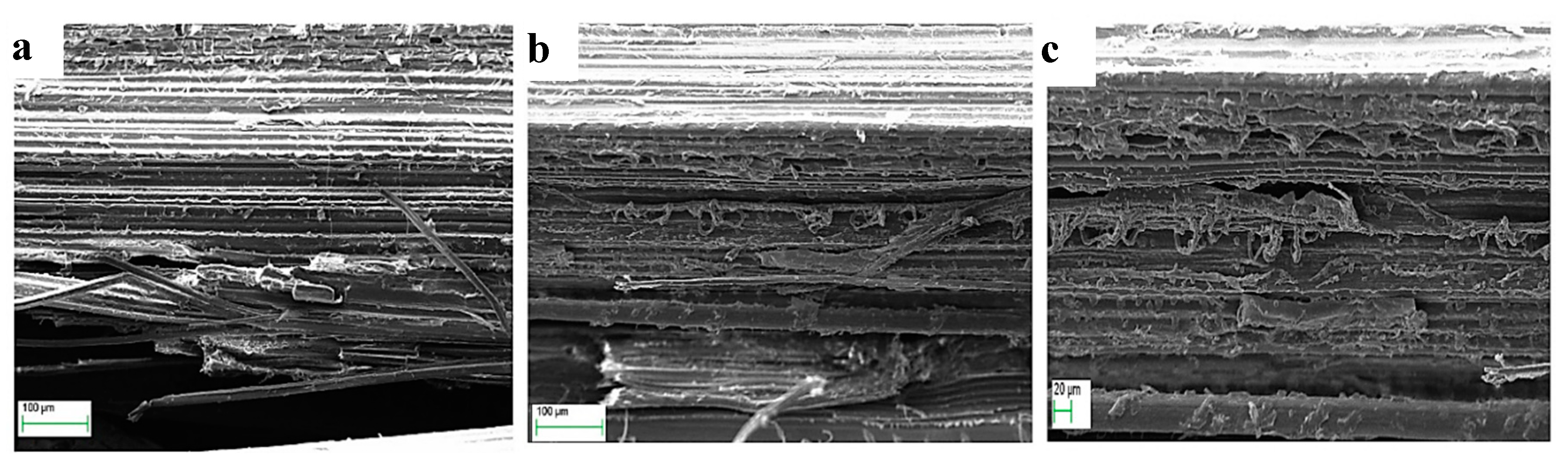 Fibers 08 00026 g004