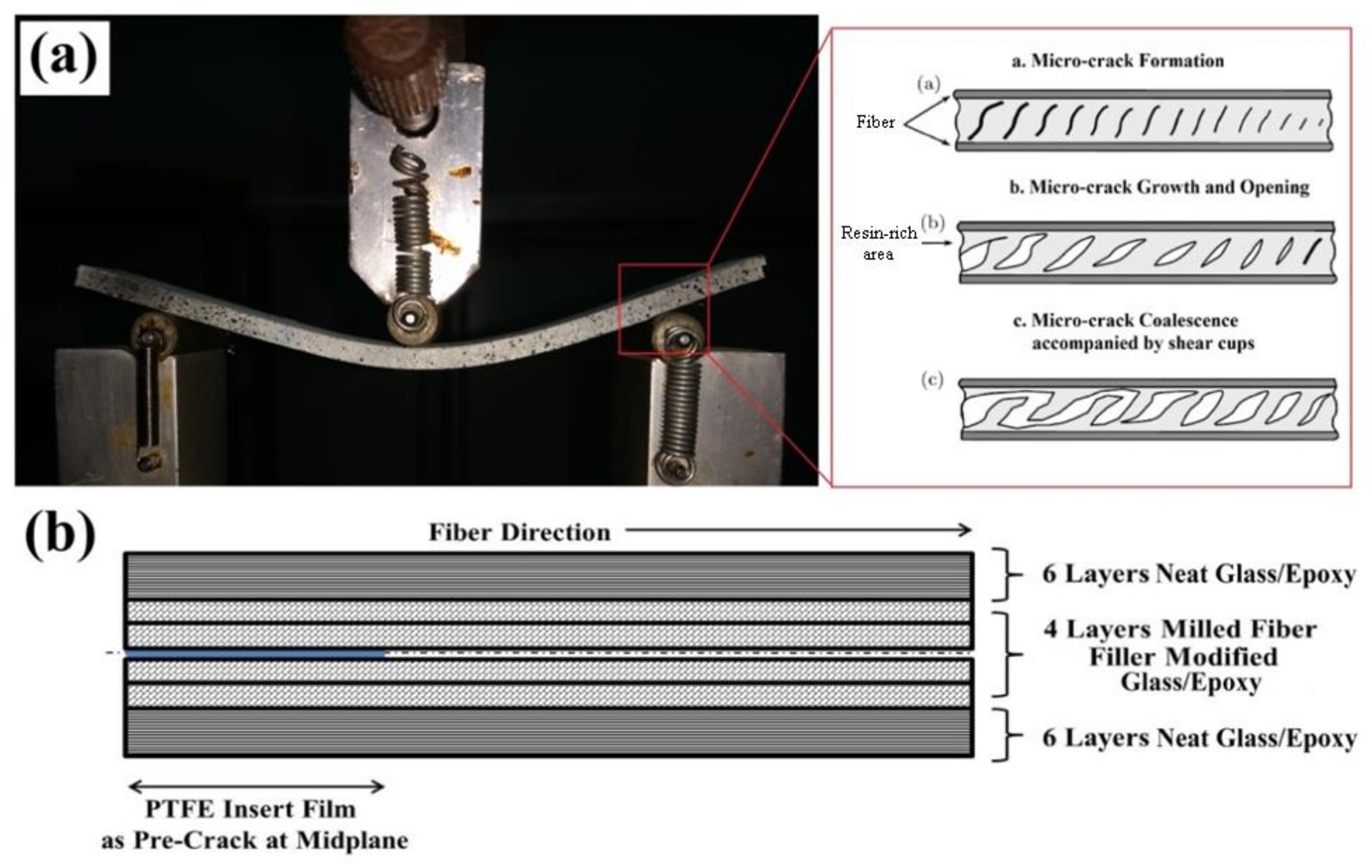 Fibers 08 00036 g001