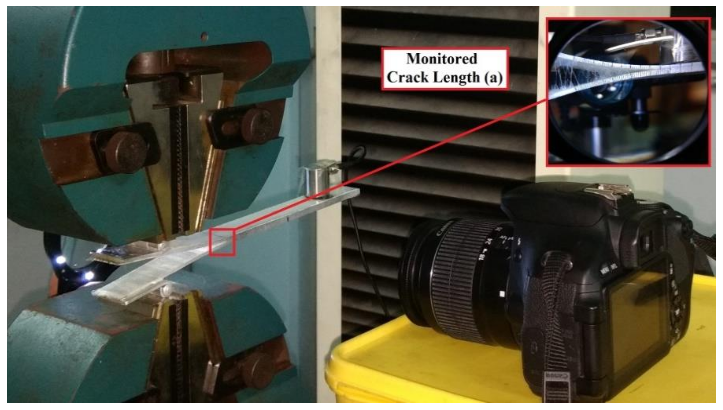 Fibers 08 00036 g002