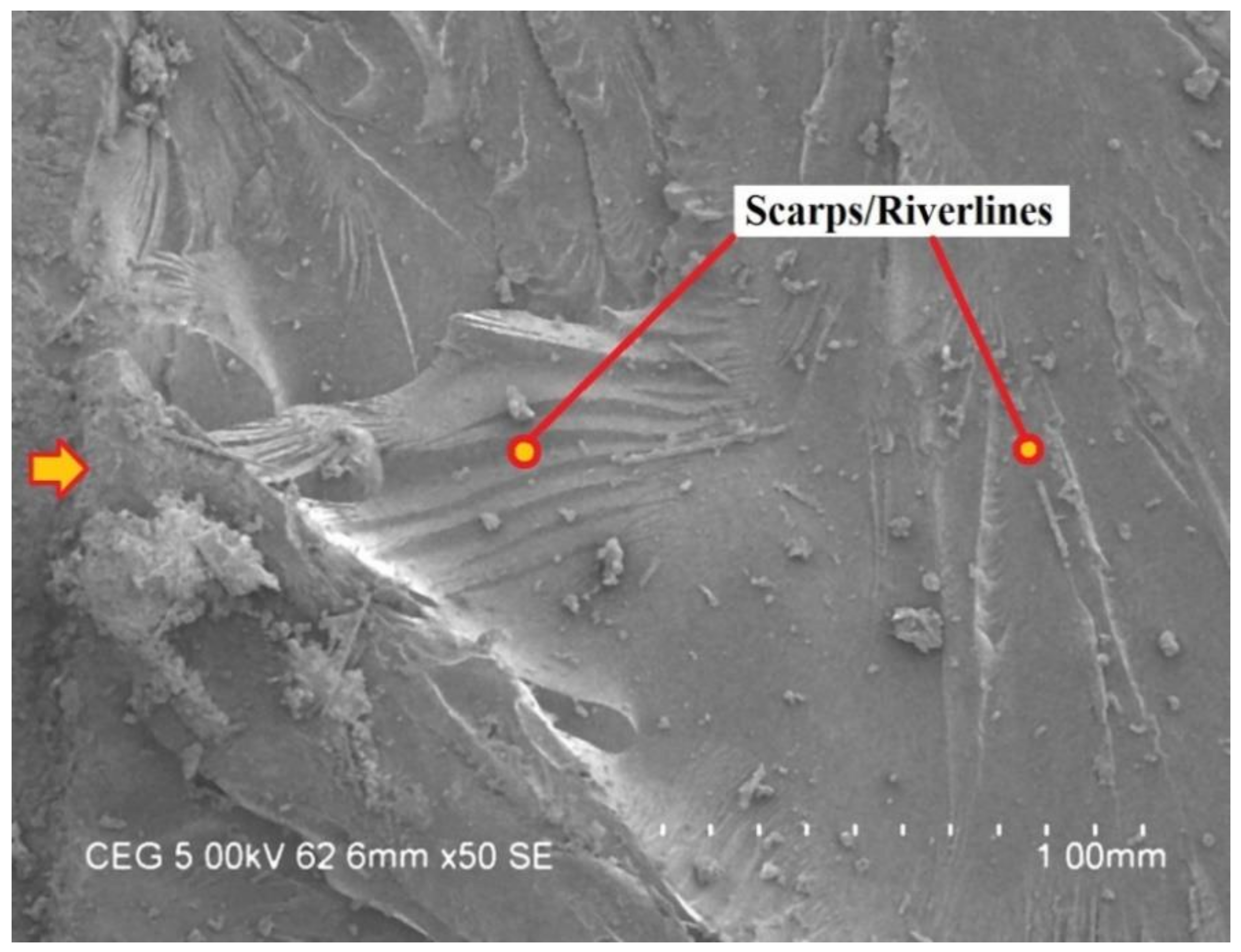 Fibers 08 00036 g005