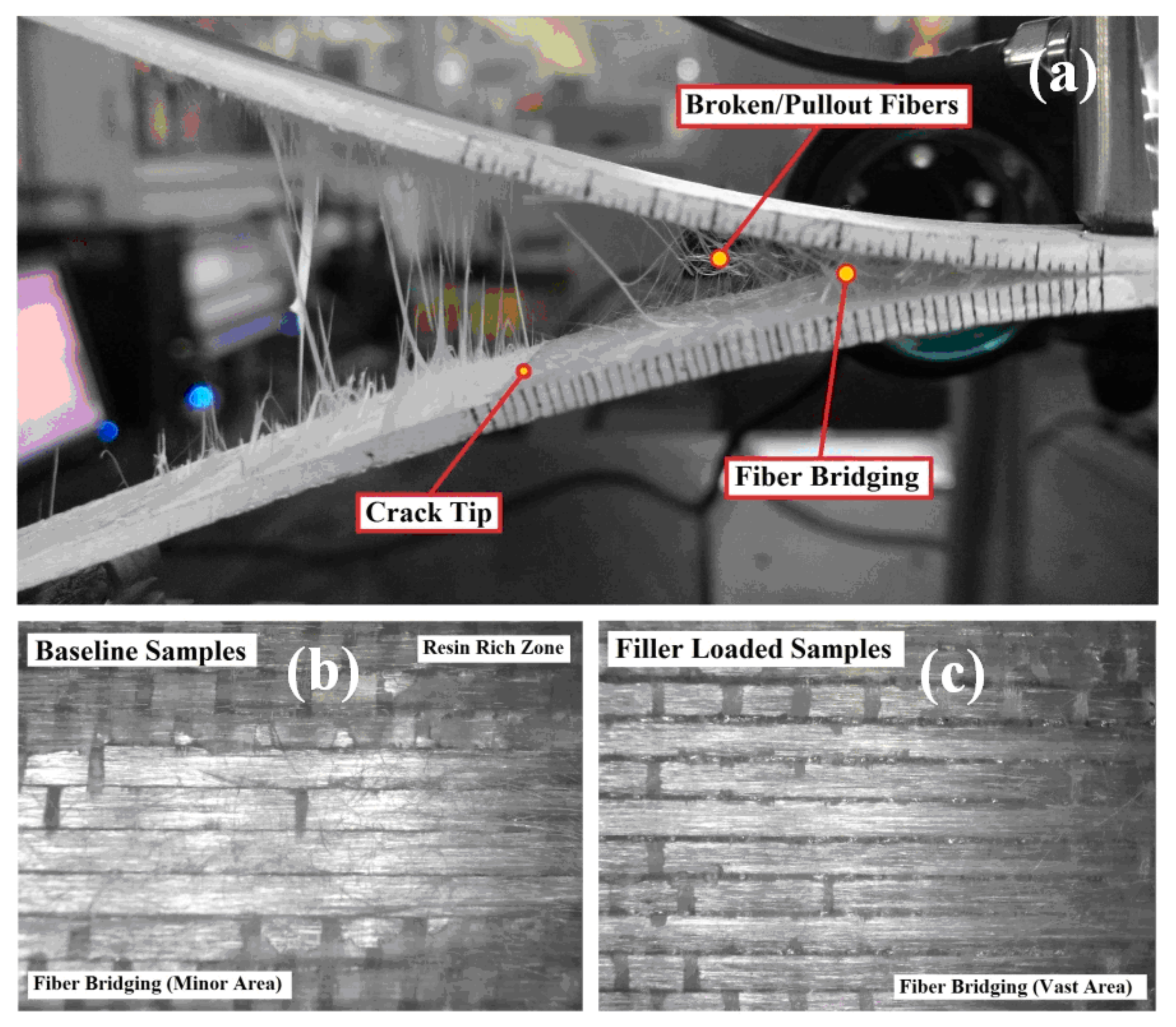 Fibers 08 00036 g010