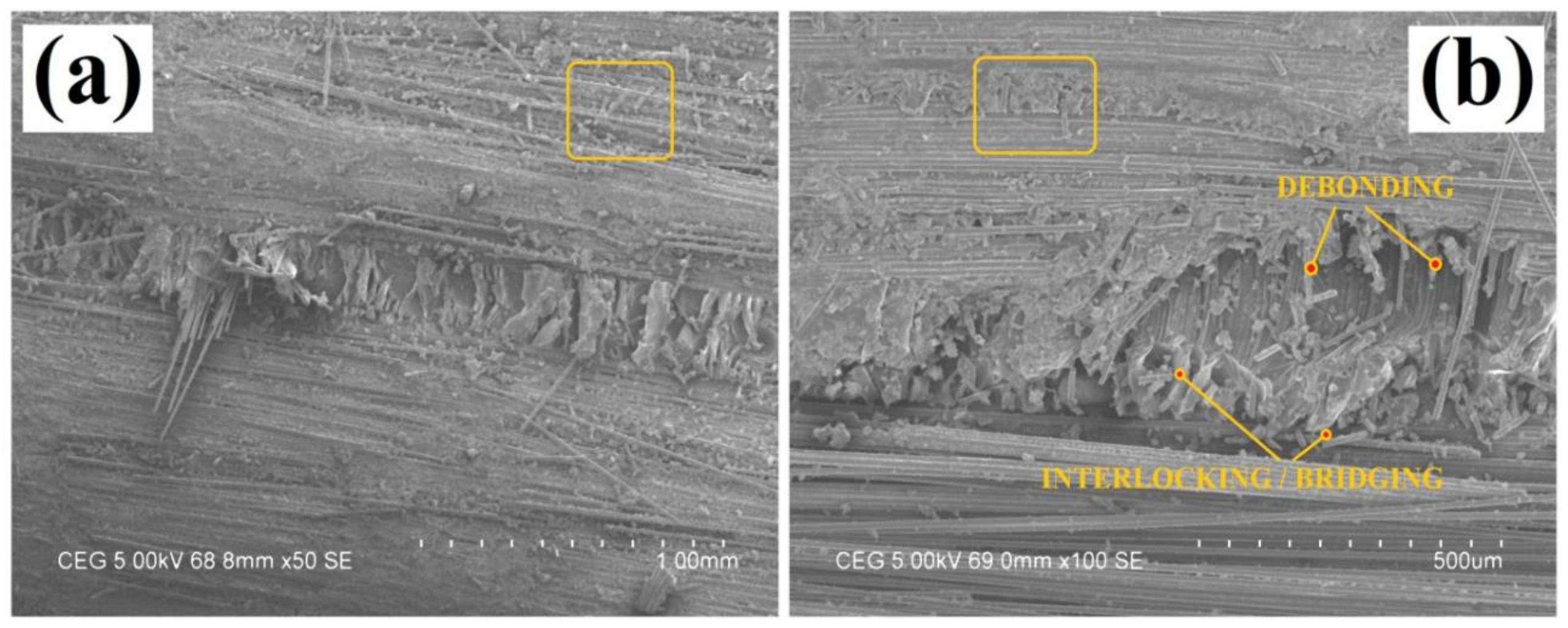 Fibers 08 00036 g012