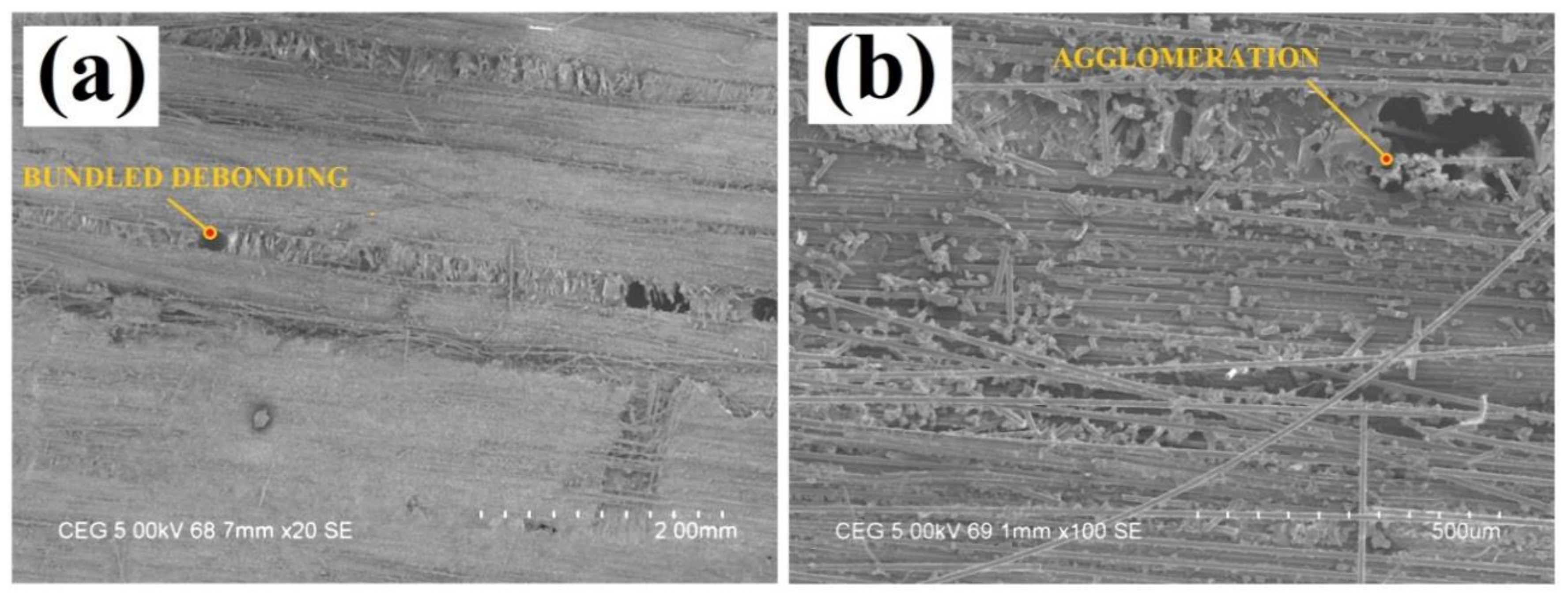 Fibers 08 00036 g013