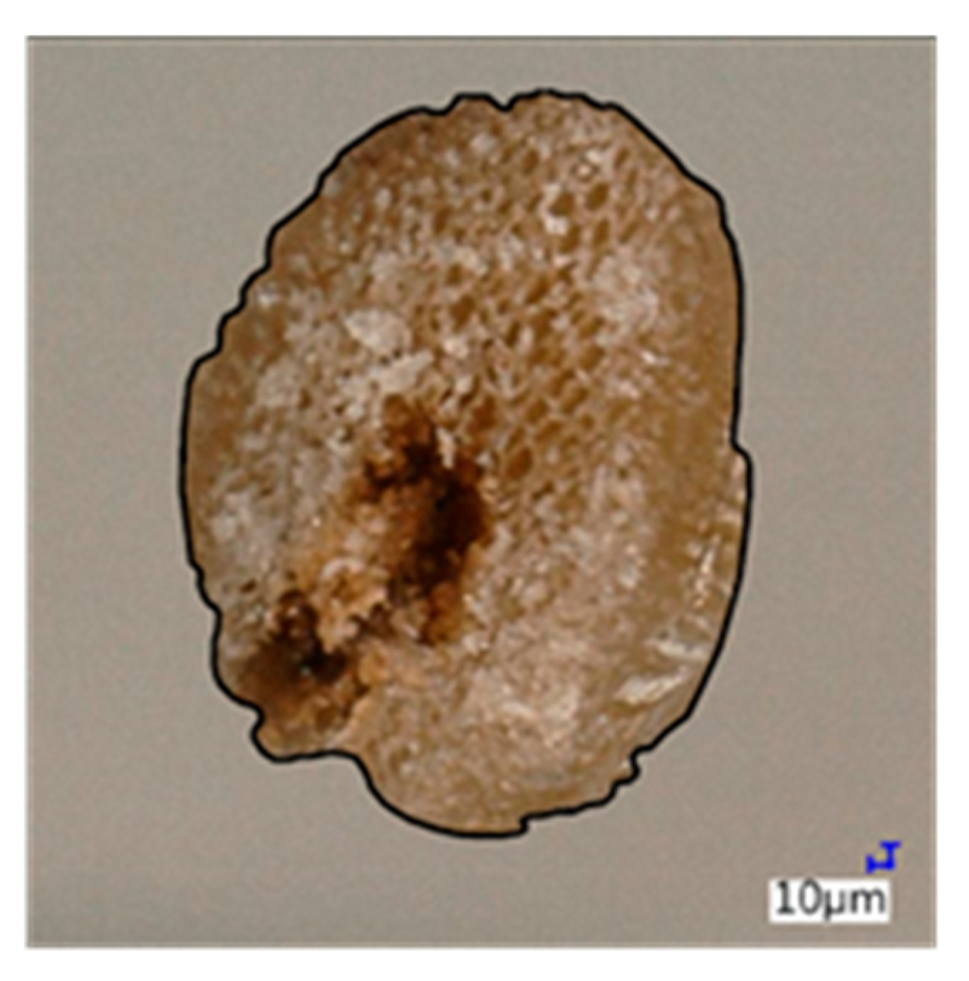 Fibers 08 00037 g006