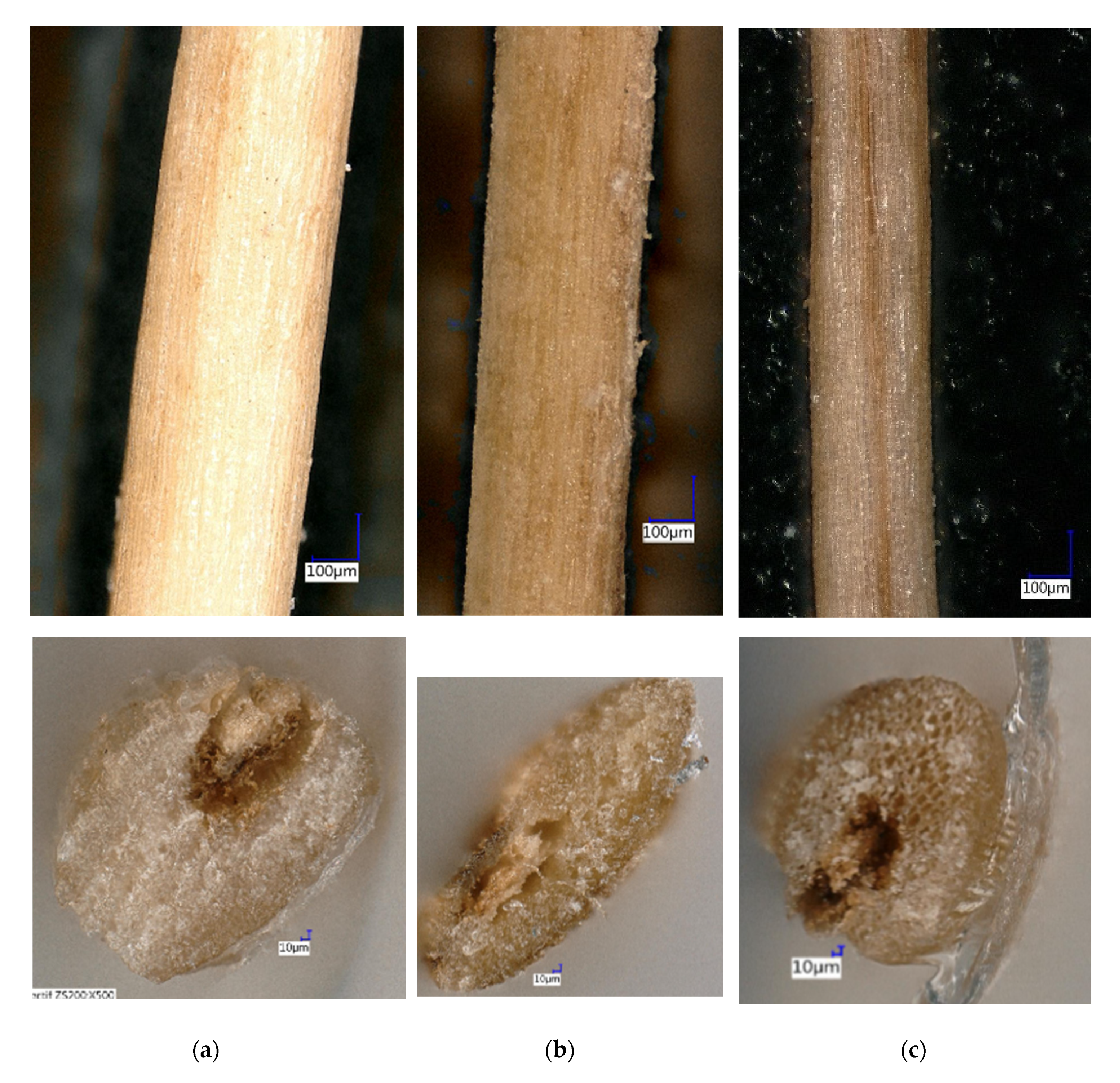 Fibers 08 00037 g008