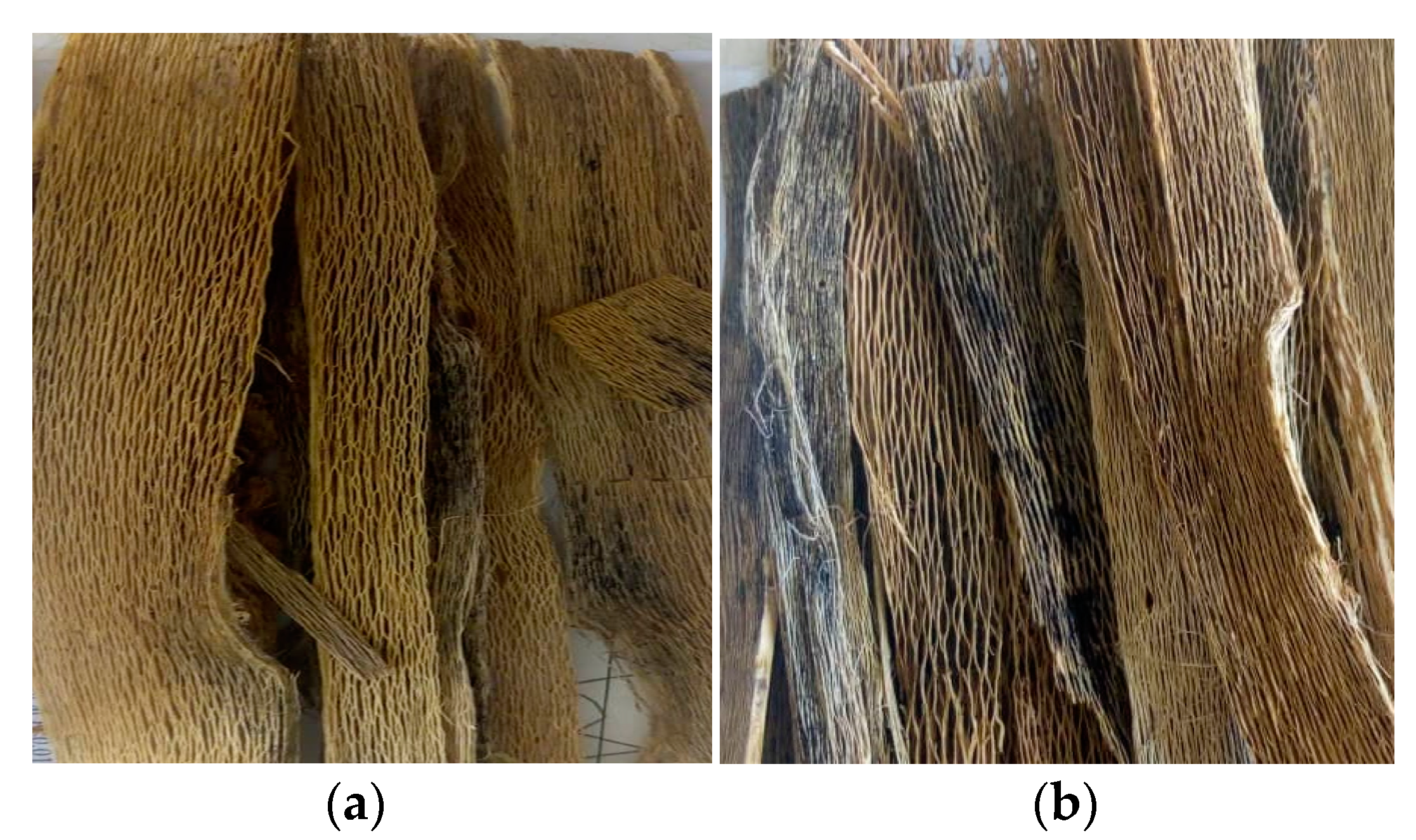 Fibers 08 00044 g001